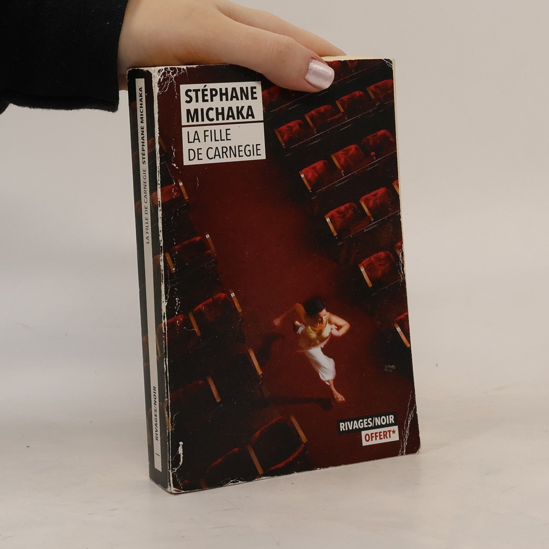 Stéphane Michaka La Fille de Carnegie