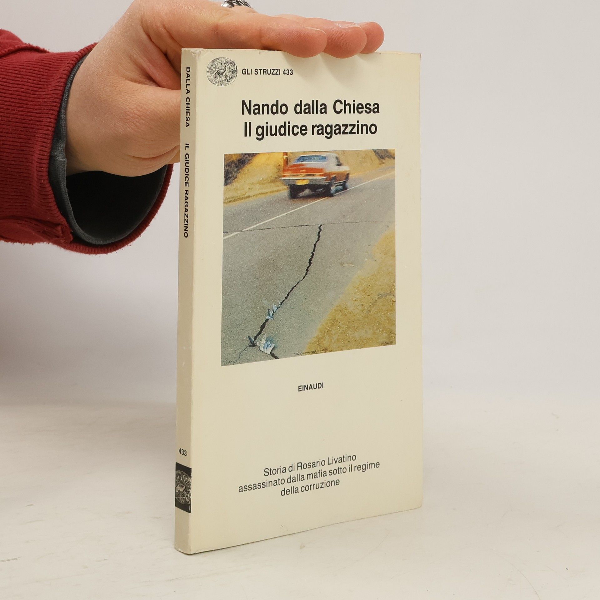 Nando Dalla Chiesa Il giudice ragazzino