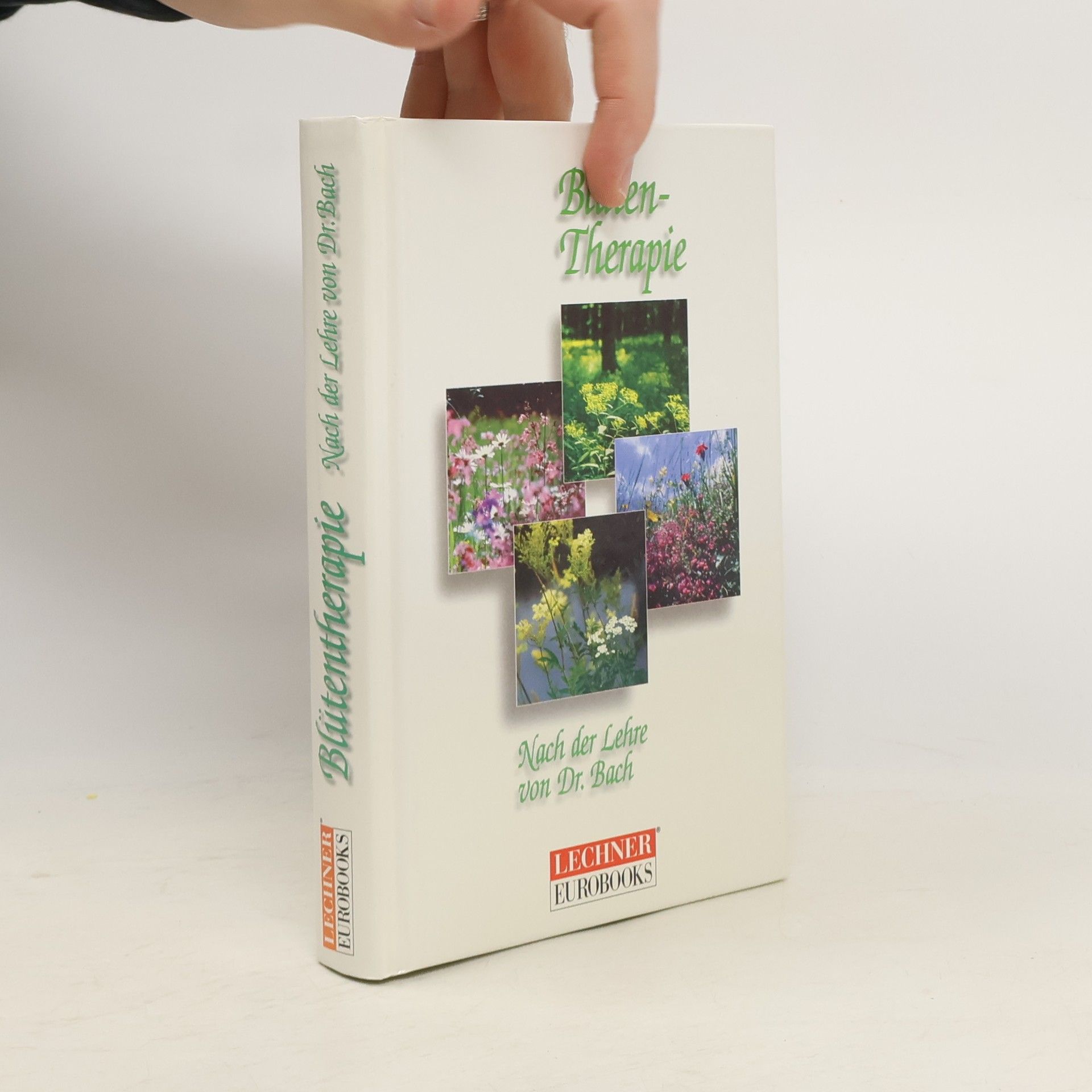 Ina Friedrich Blüten-Therapie