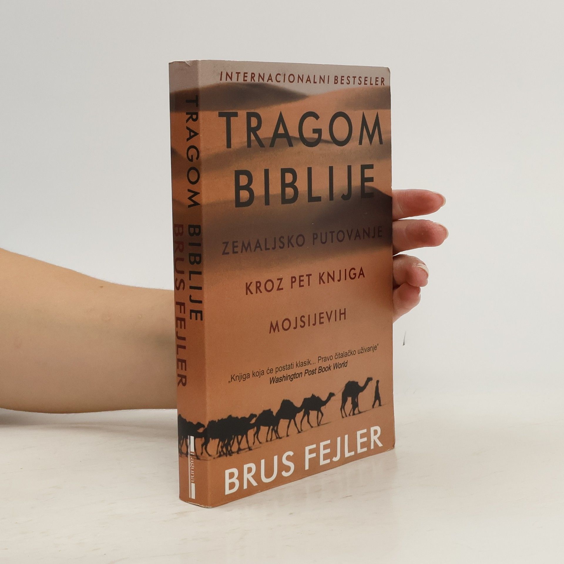Bruce S. Feiler Tragom Biblije