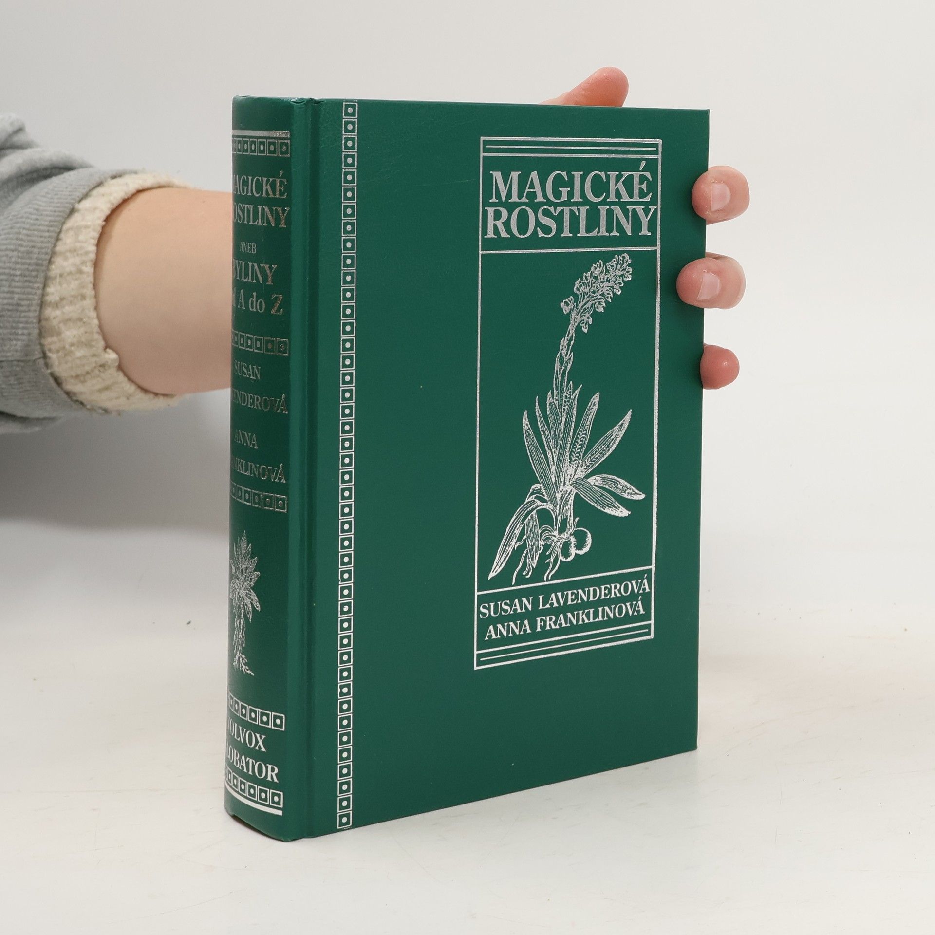 Susan Lavender Magické rostliny