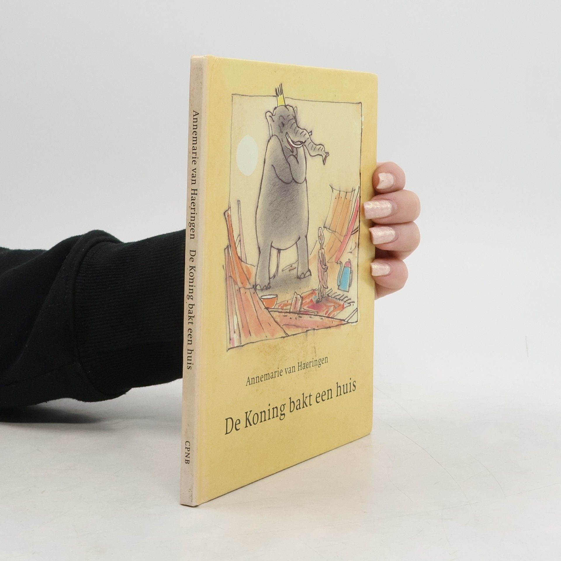 Annemarie van Haeringen De koning bakt een huis