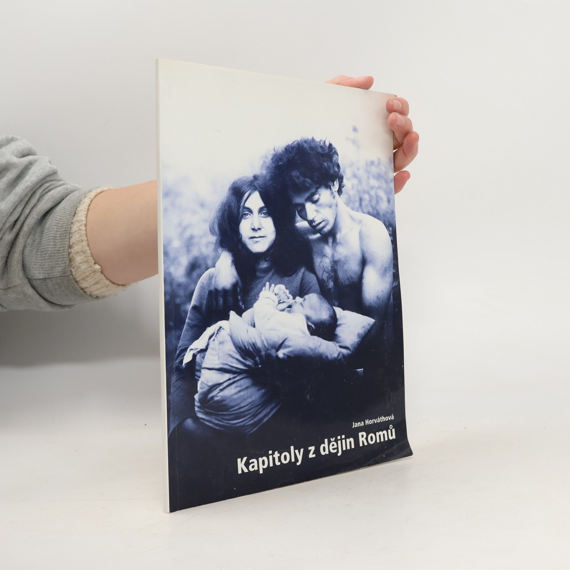 Kapitoly z dějin Romů