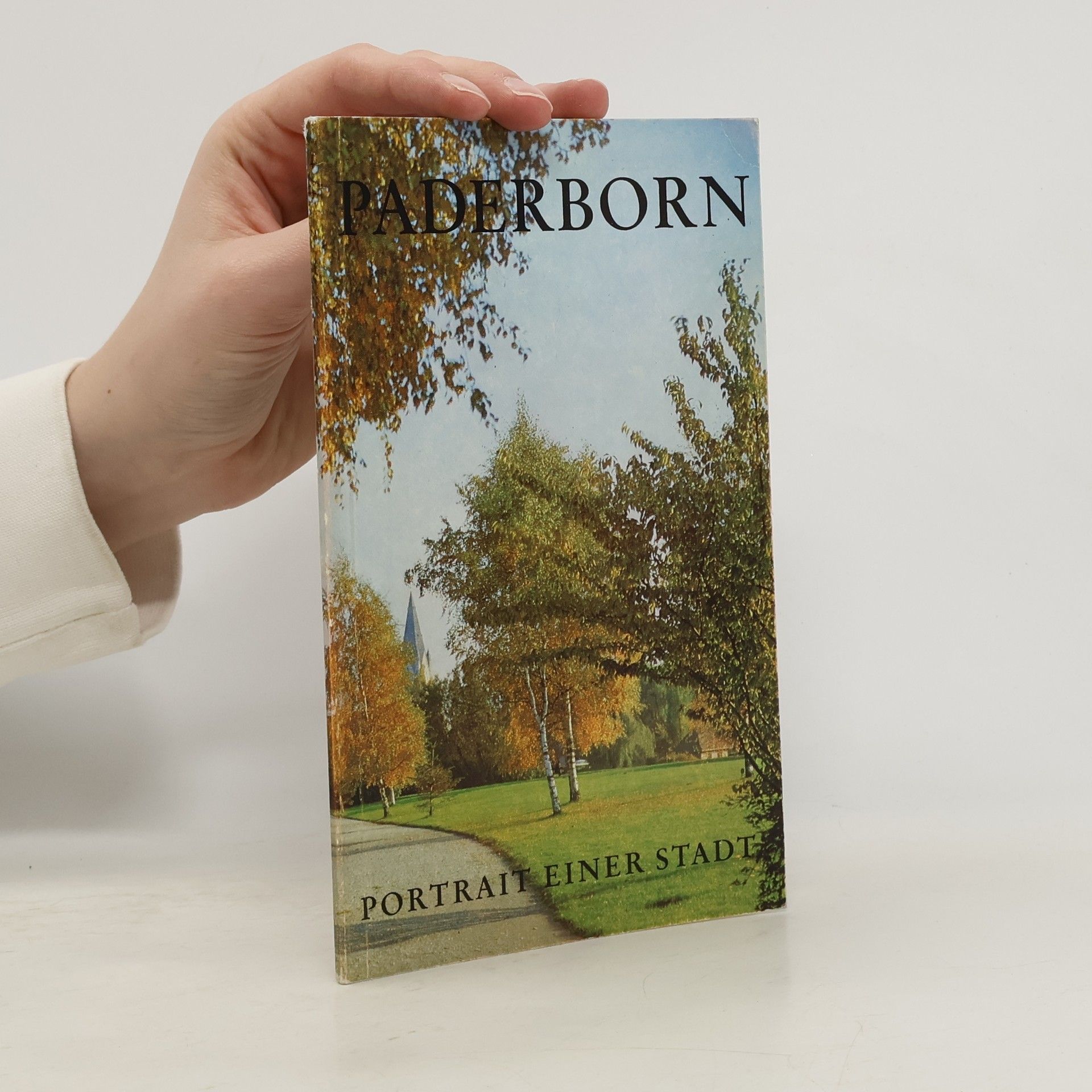 A. Erich Boskamp Paderborn: Porträt einer Stadt