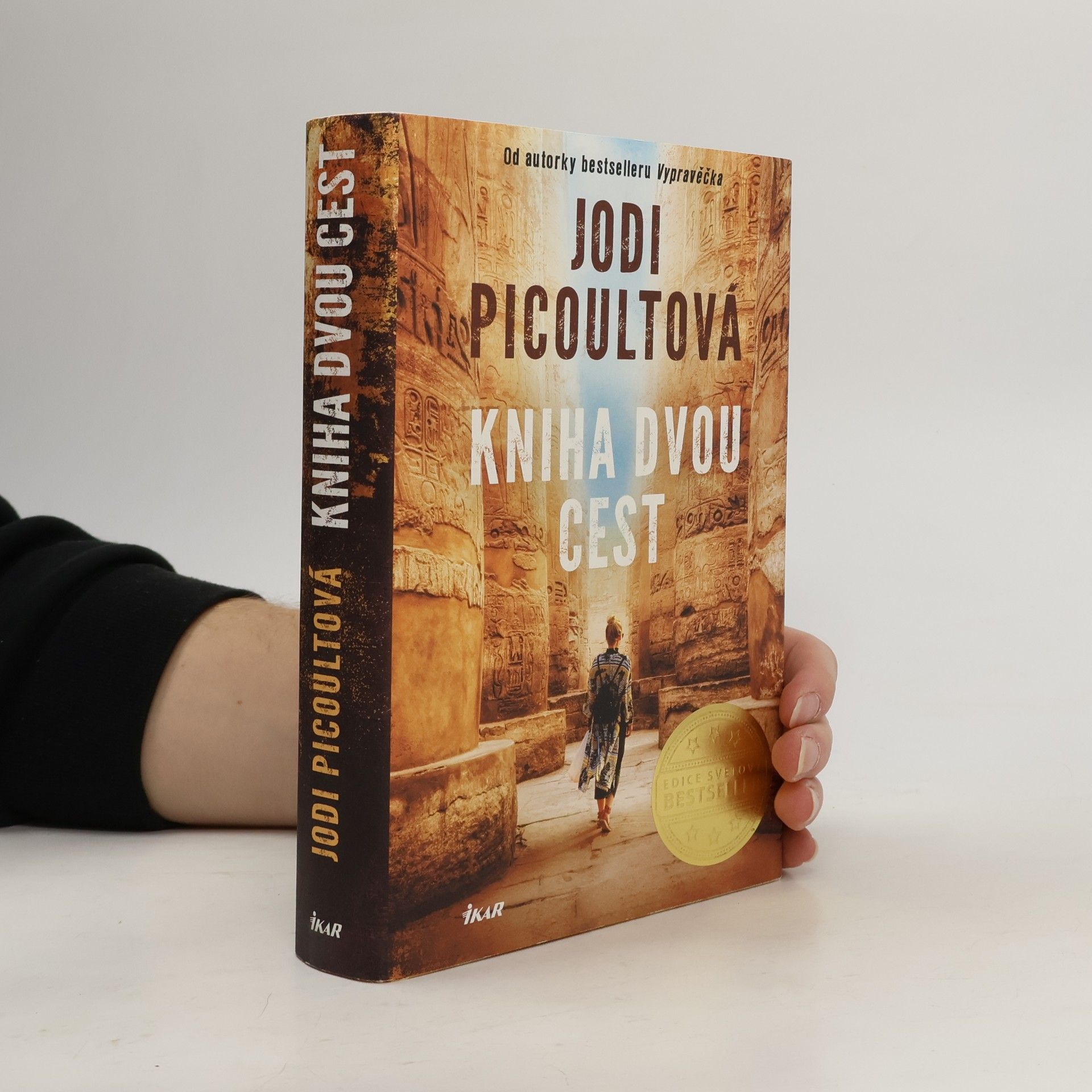 Jodi Picoult Kniha dvou cest