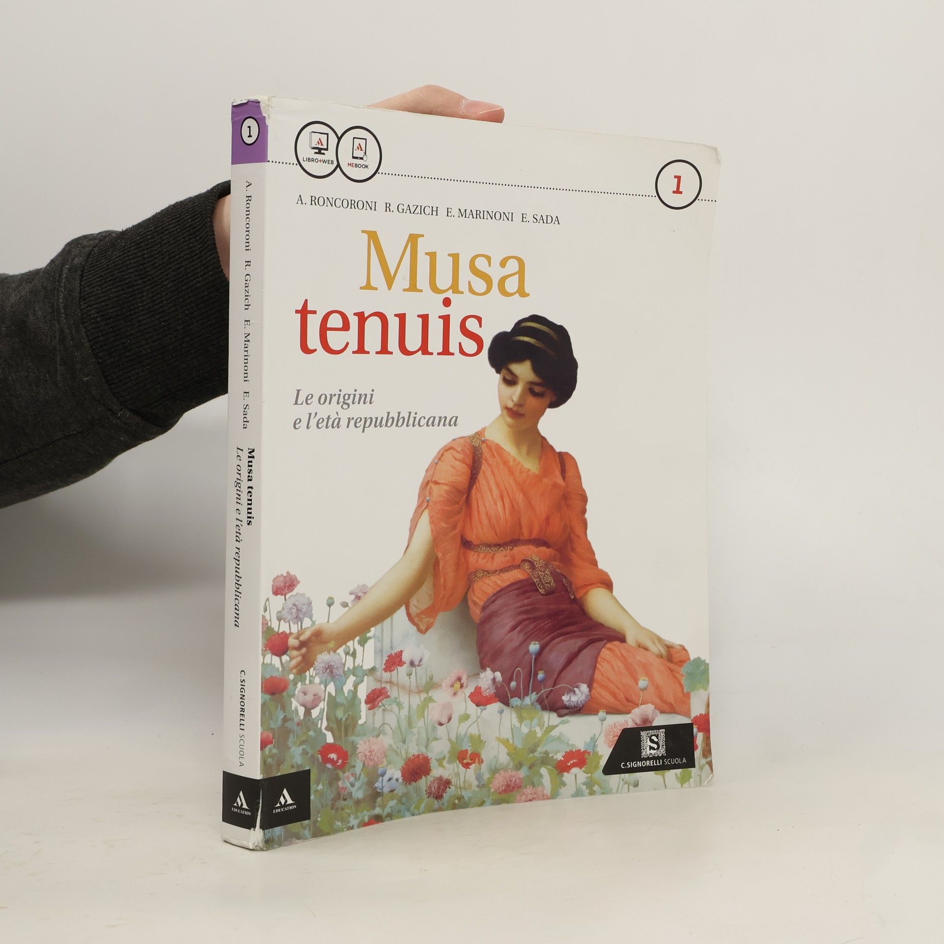 A. Roncoroni Musa tenuis 1