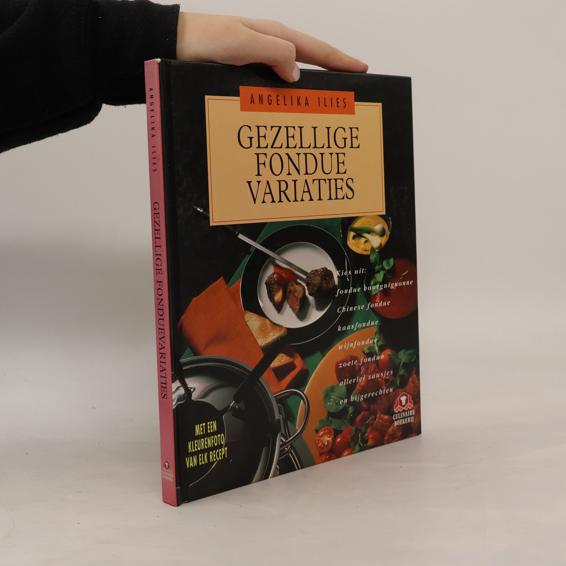 Angelika Ilies Gezellige fondue variaties
