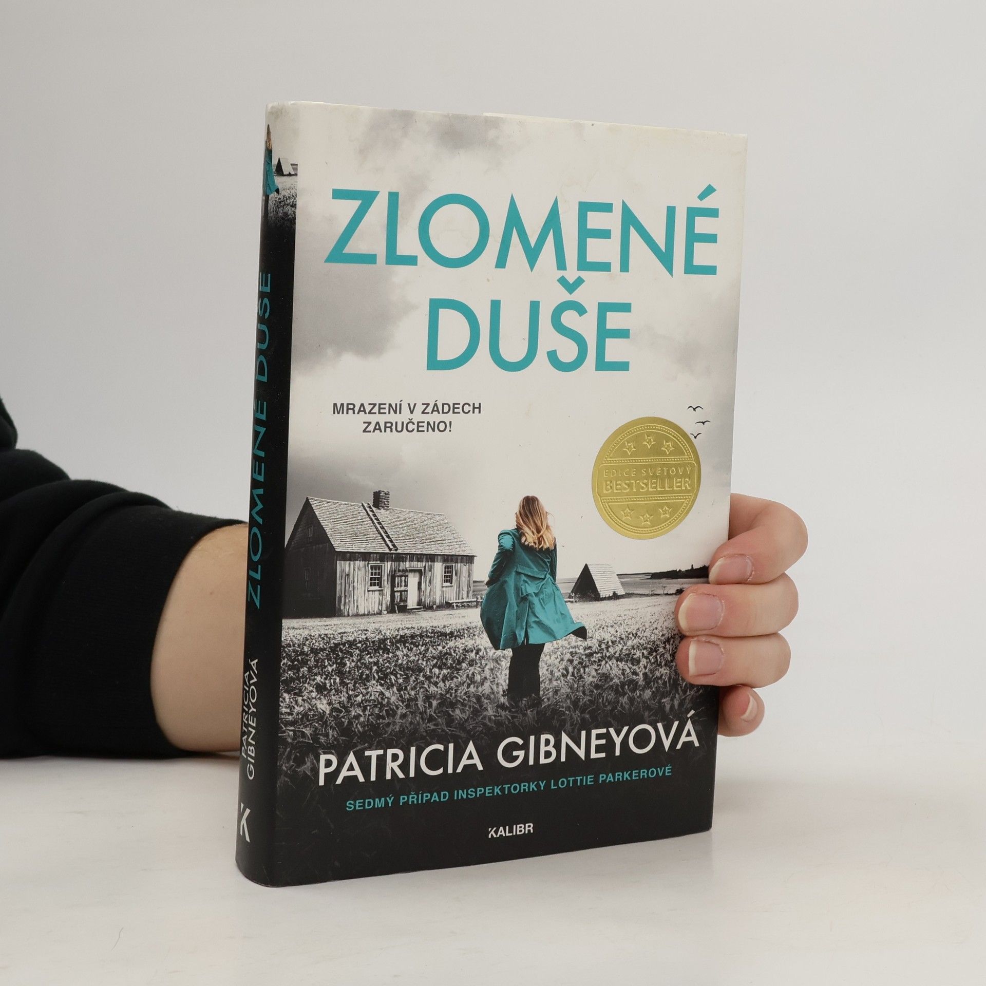 Patricia Gibney Zlomené Duše