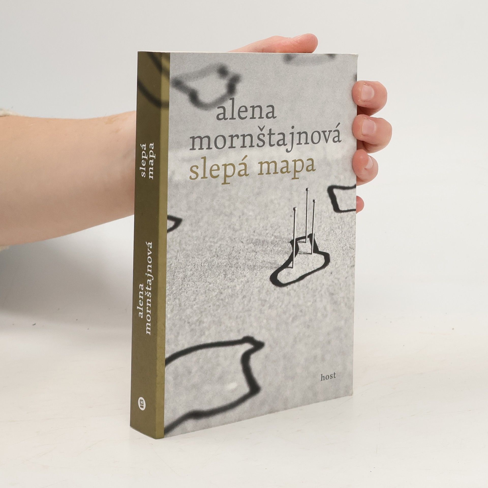 Alena Mornštajnová Slepá mapa