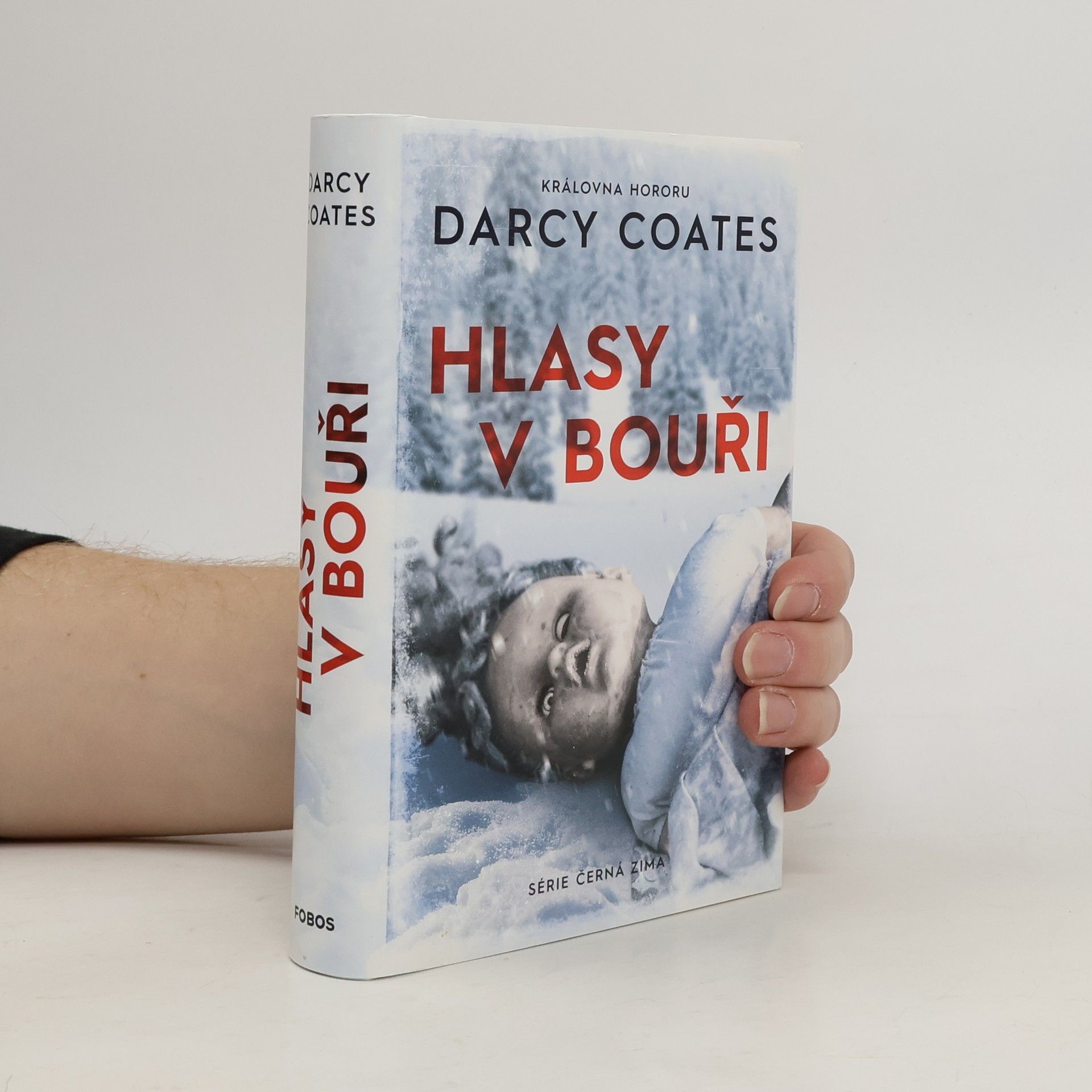 Darcy Coates Hlasy v bouři
