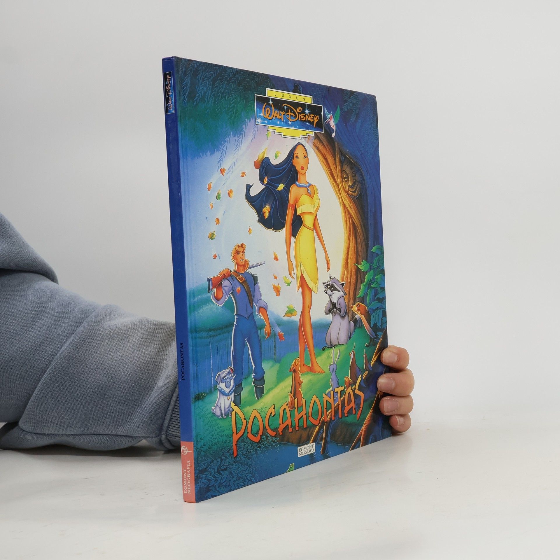 Walt Disney Pocahontas