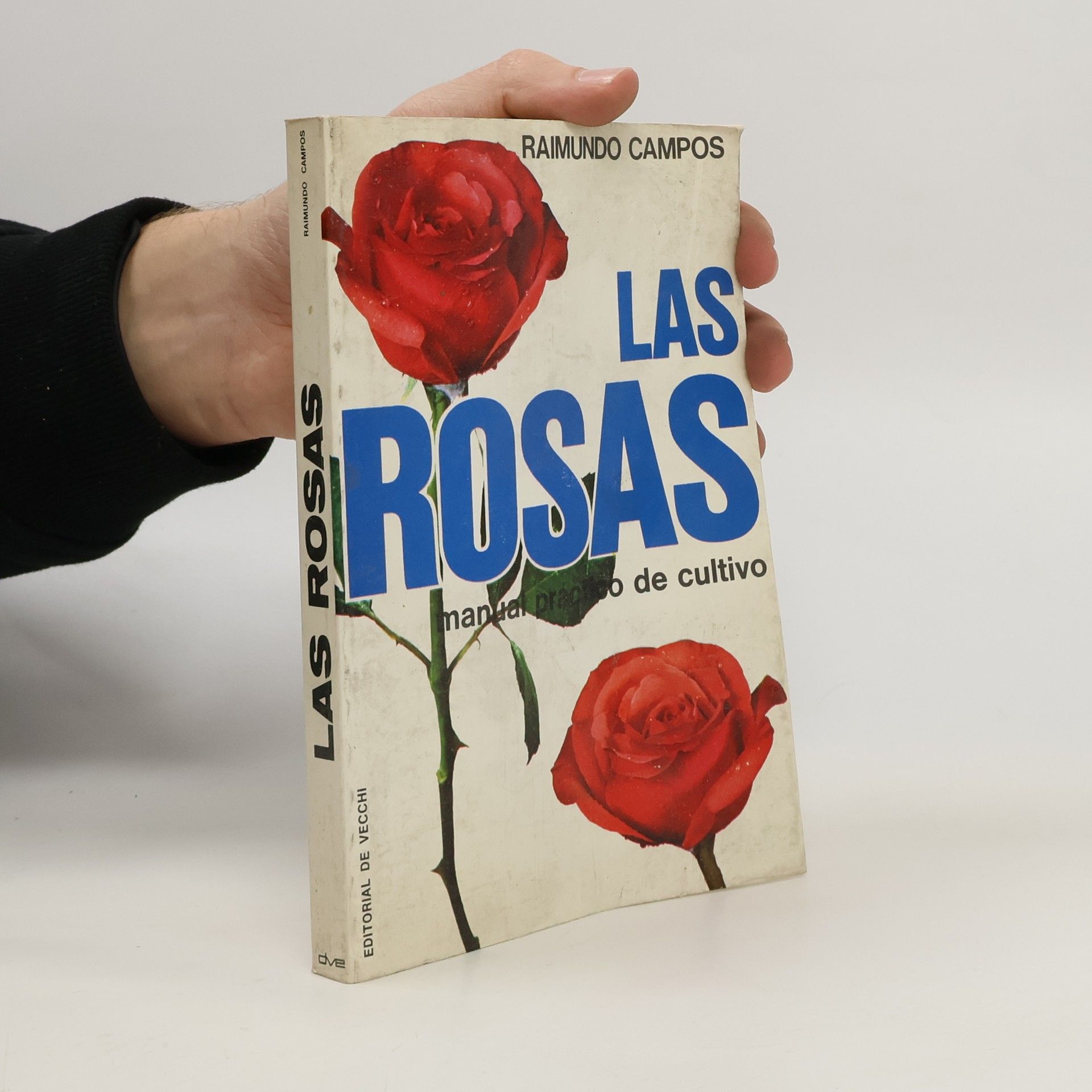 Raimundo Campos Las rosas