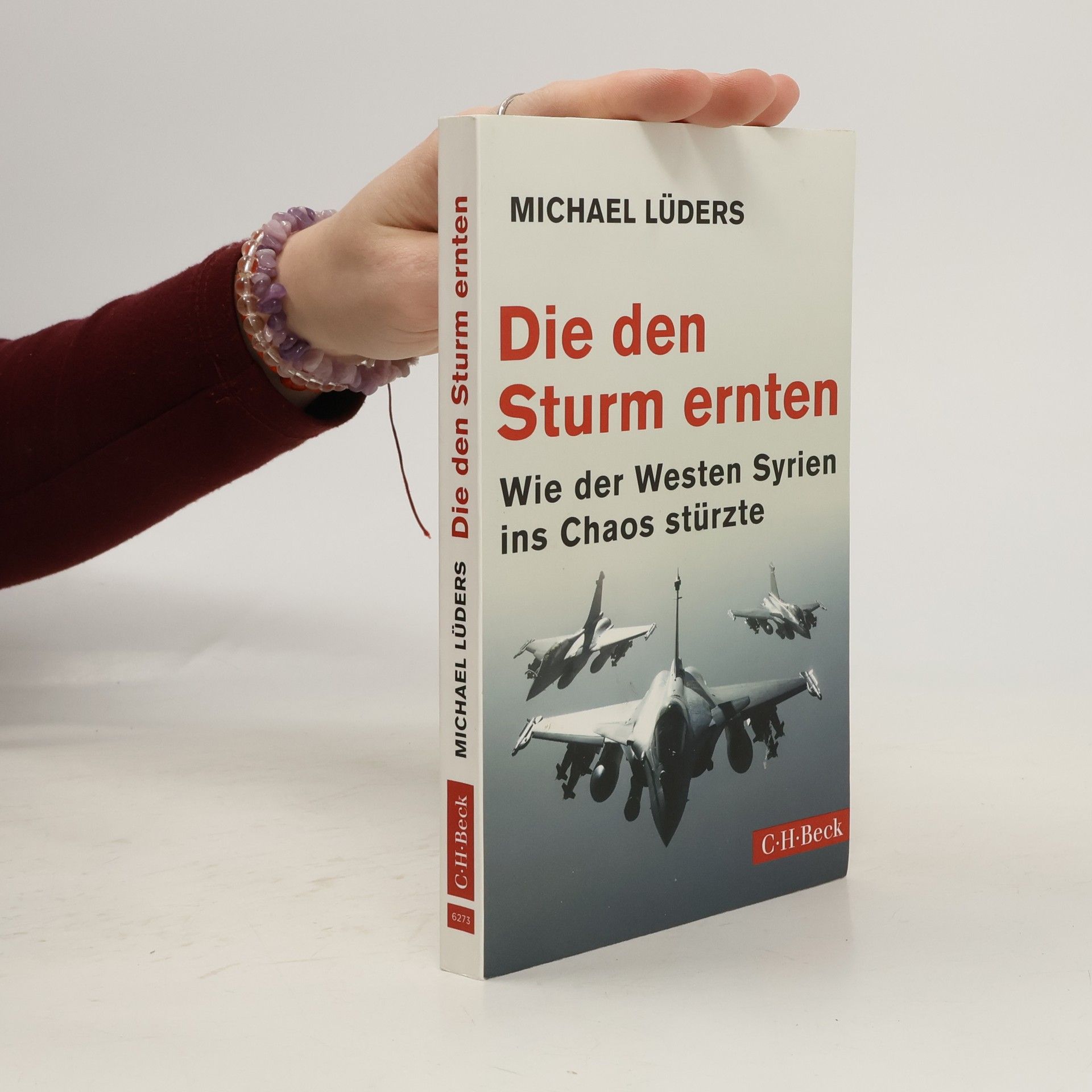 Michael Lüders Die den Sturm ernten