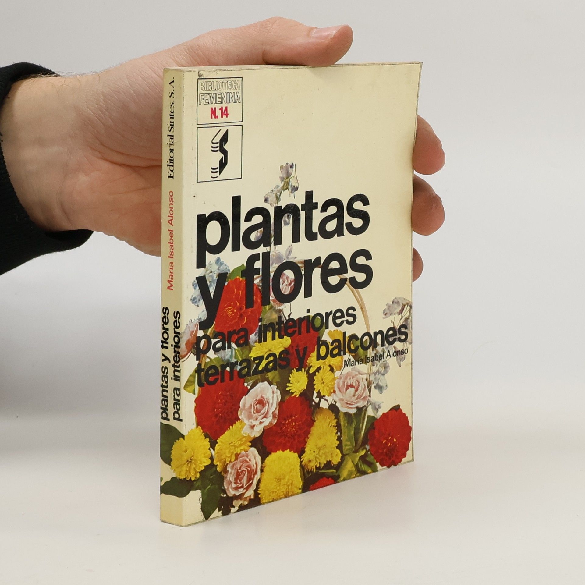 María Isabel Alonso Plantas y flores para interiores, terrazas y balcones