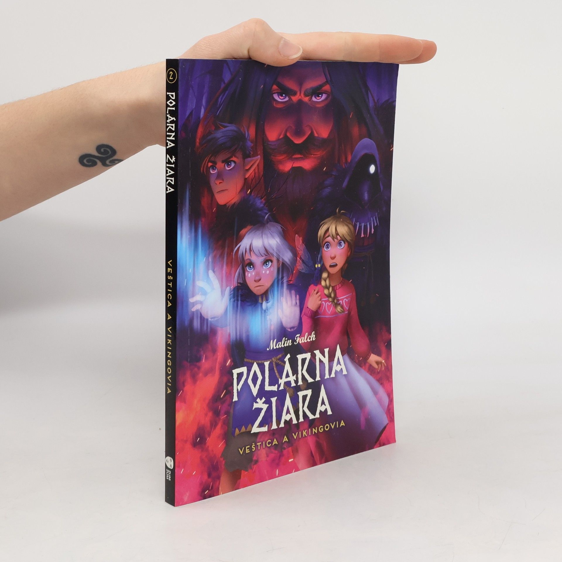 Polárna žiara. Veštica a vikingovia