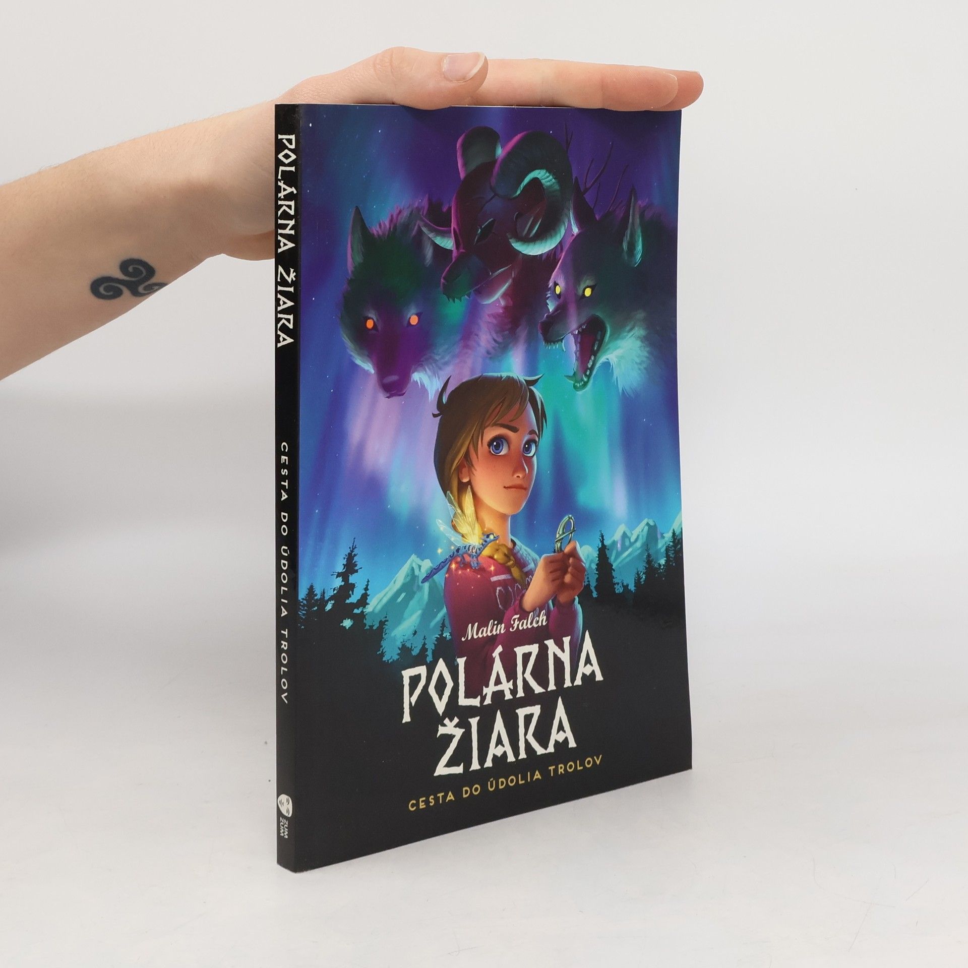 Polárna žiara. Cesta do údolia trolov