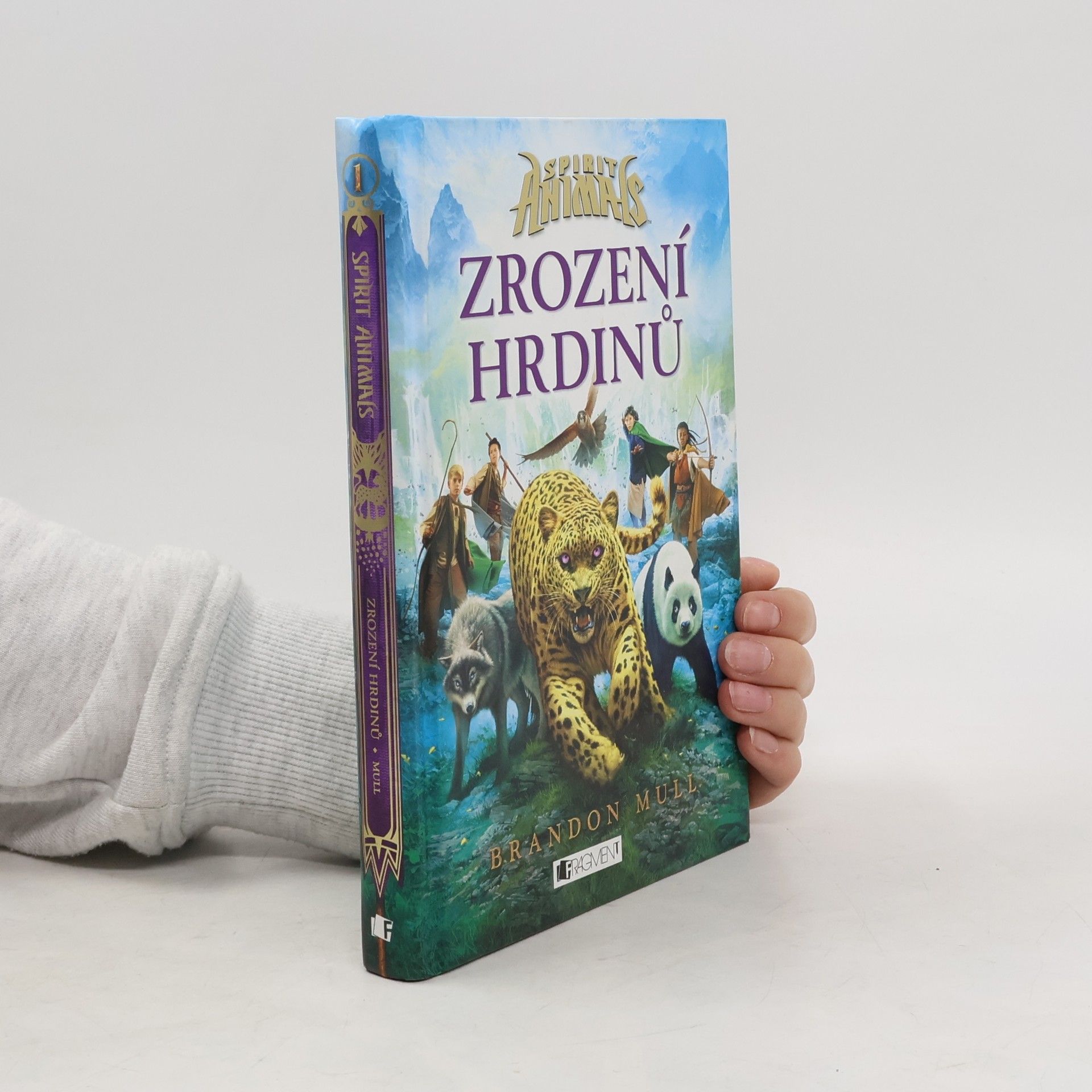 Brandon Mull Zrození hrdinů