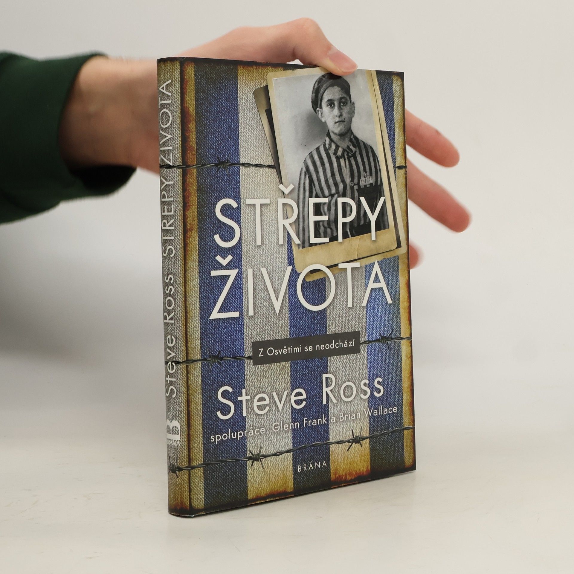 Steve Ross Střepy života