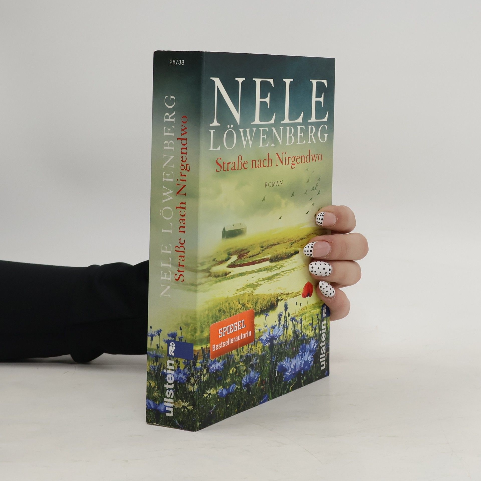 Cornelia Löwenberg Straße nach Nirgendwo