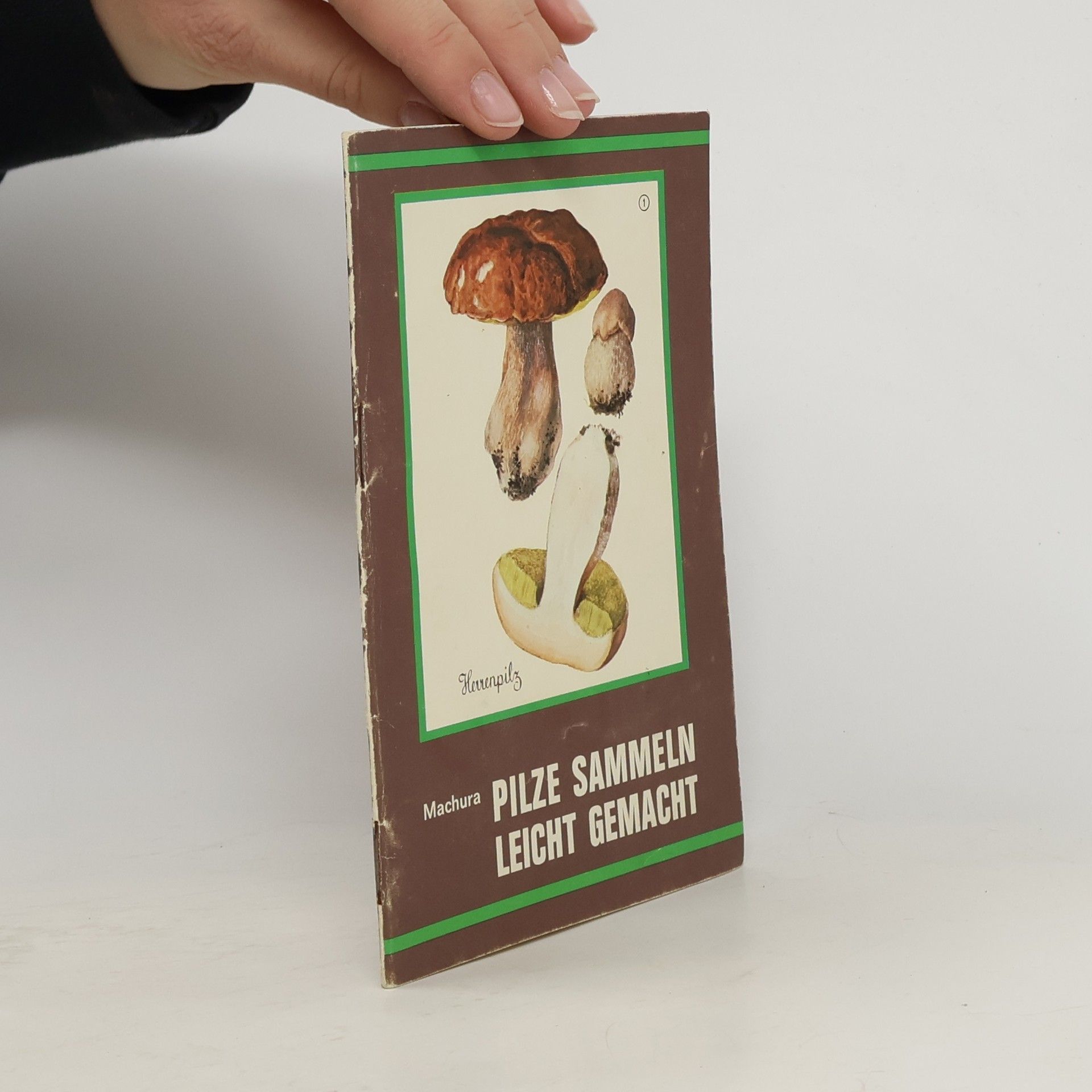 Lothar Machura Pilze sammeln leicht gemacht