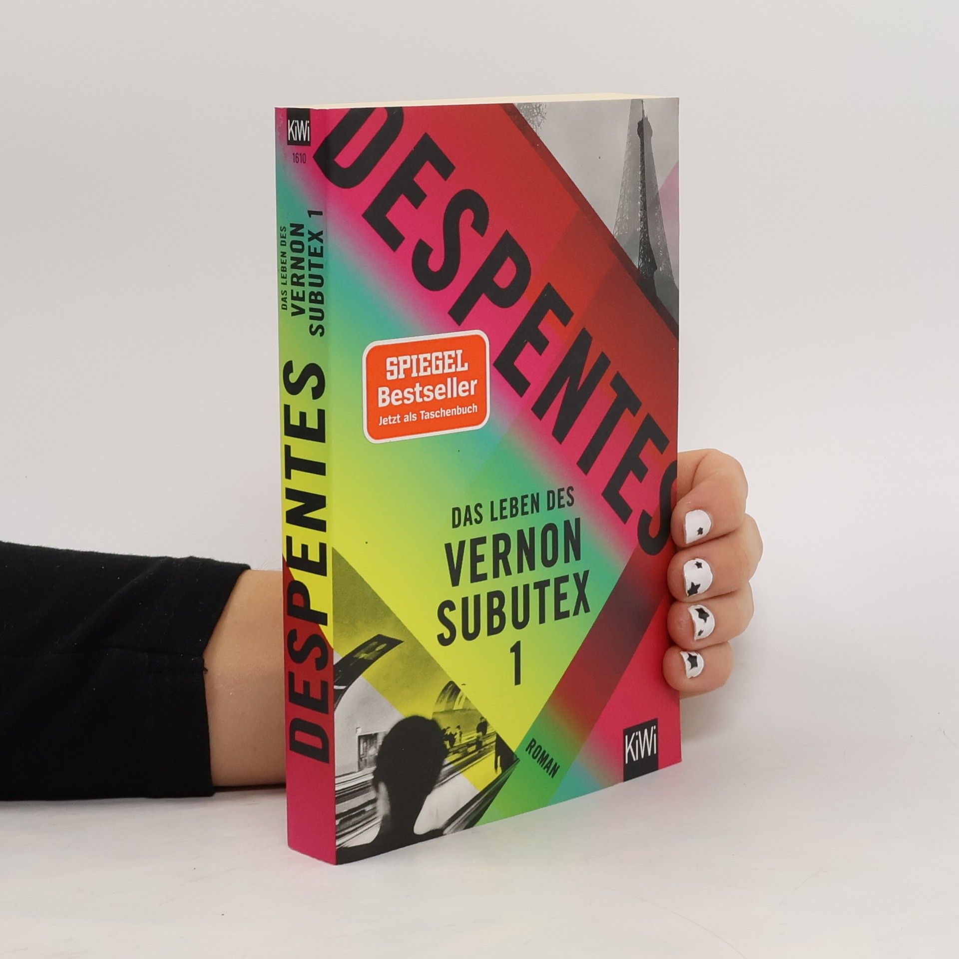 Das Leben des Vernon Subutex 1