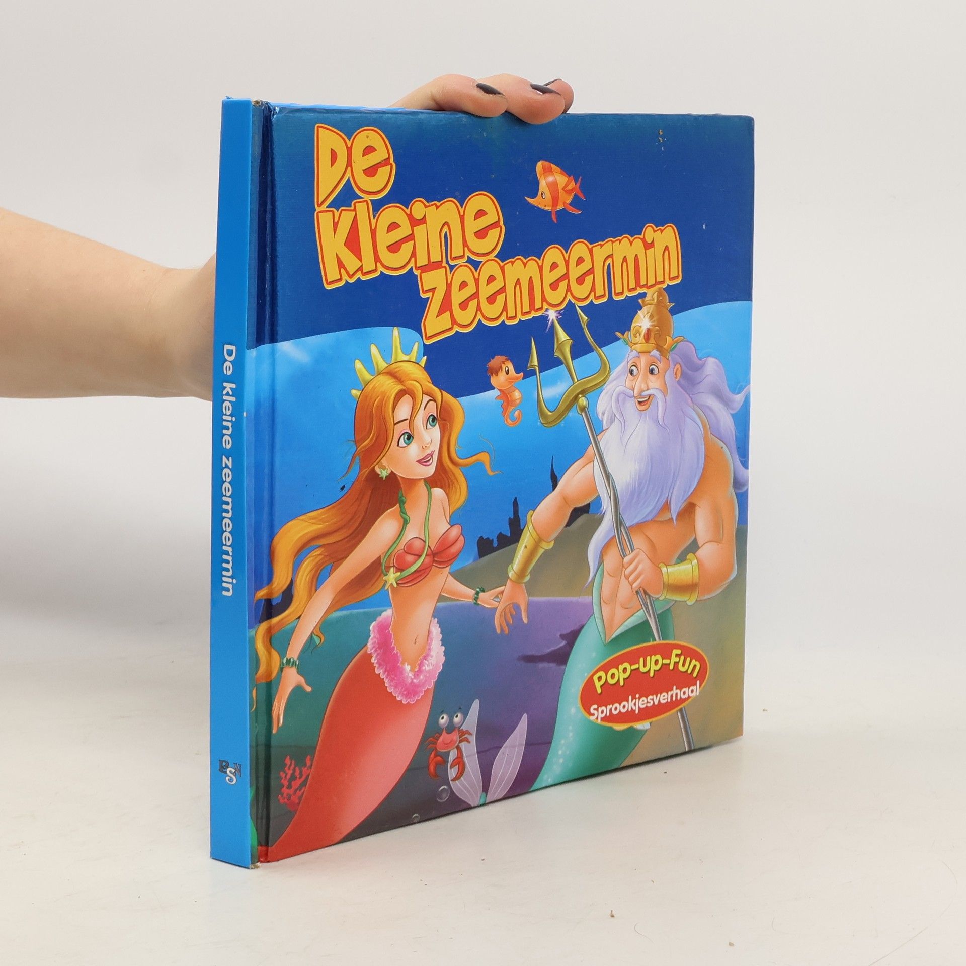 Auteurscollectief Die kleine zeemeermin