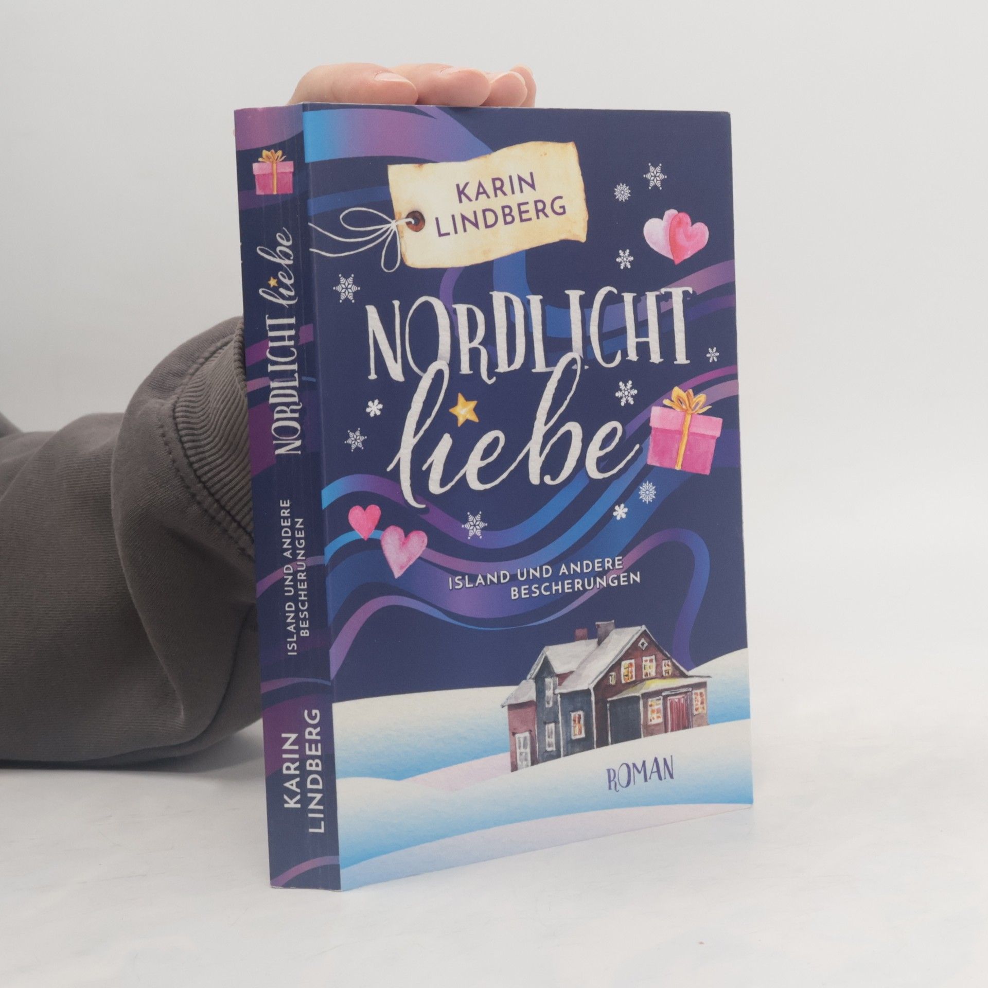 Karin Lindberg Nordlichtliebe