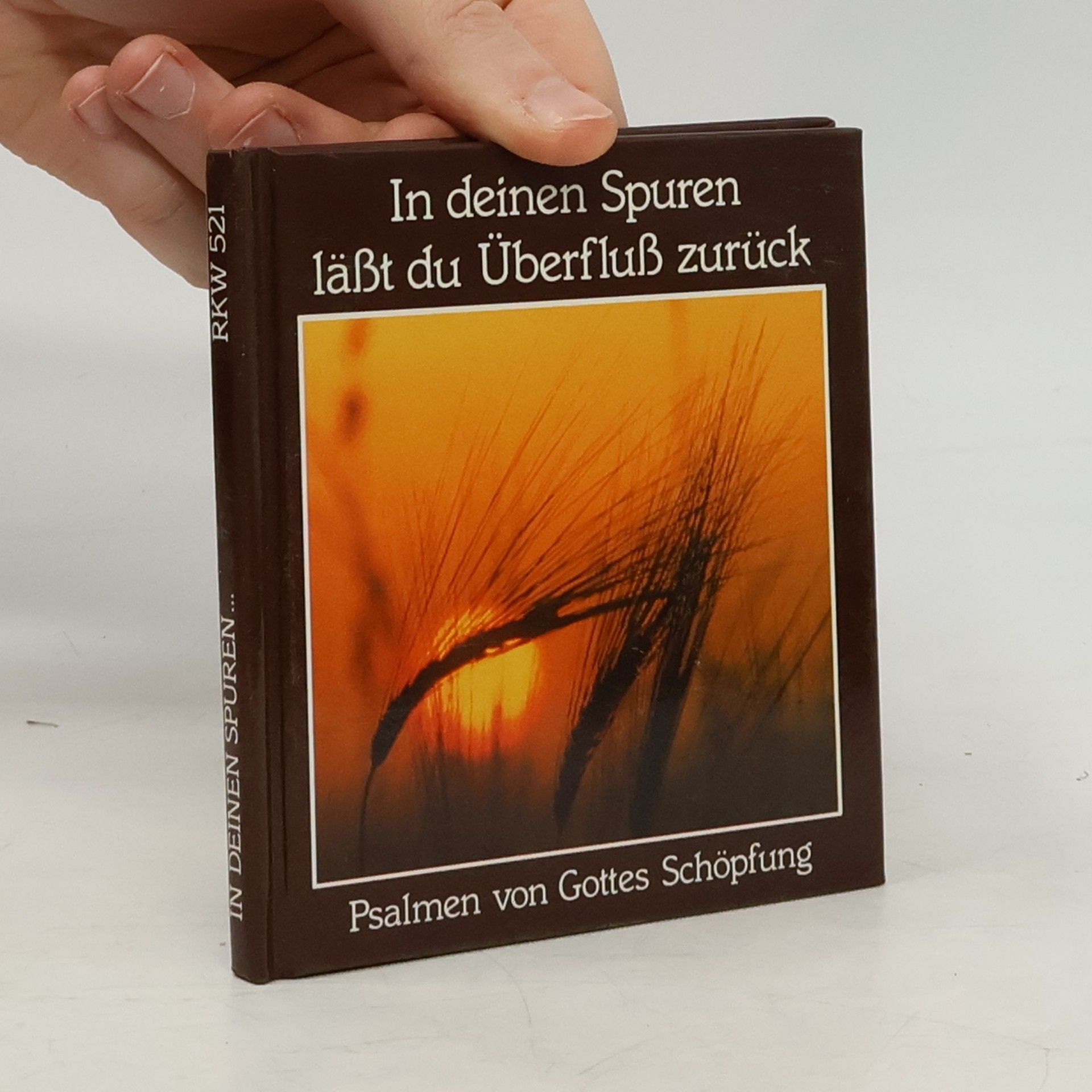 Autorenkollektiv In deinen Spuren lässt du Überfluss zurück