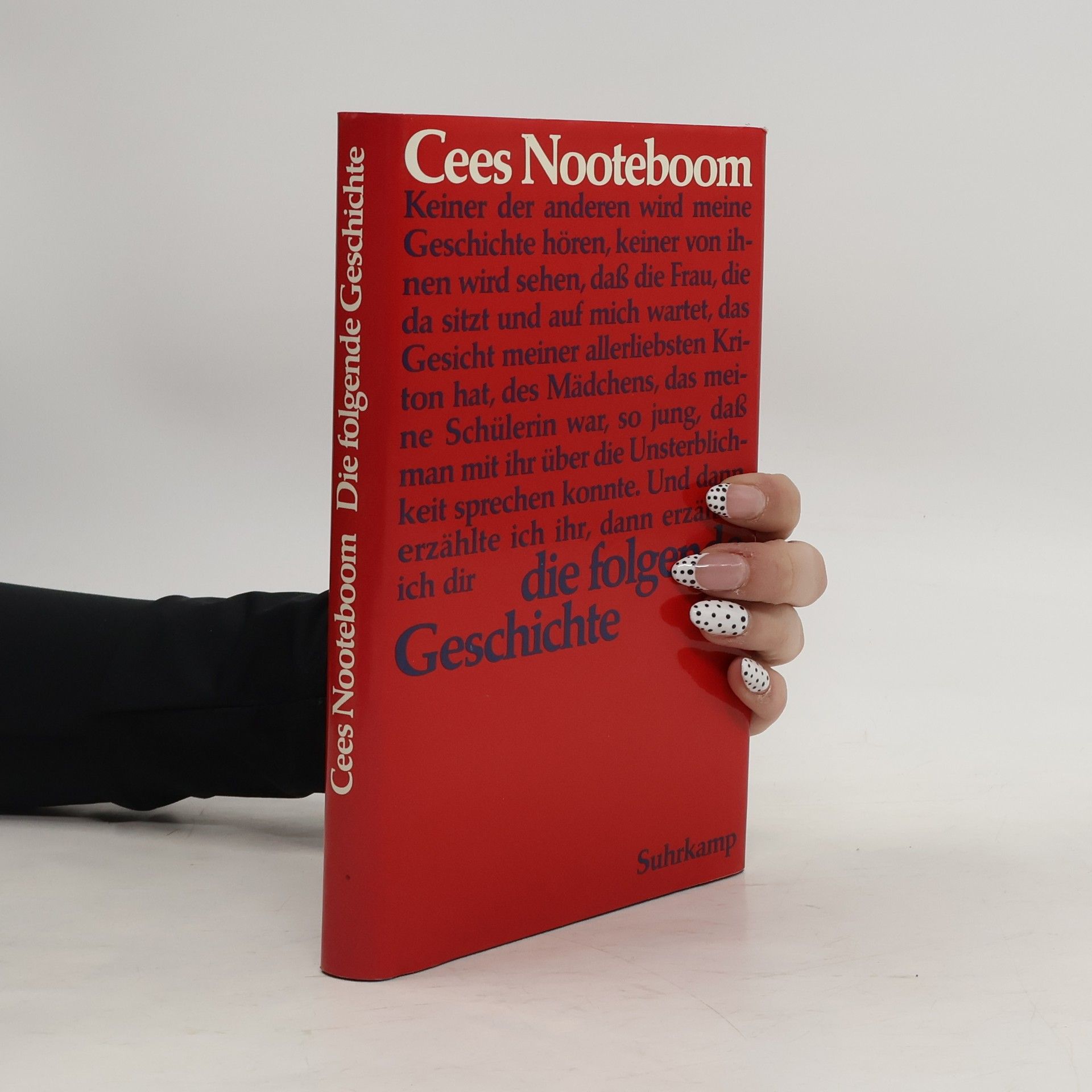 Cees Nooteboom Die folgende Geschichte