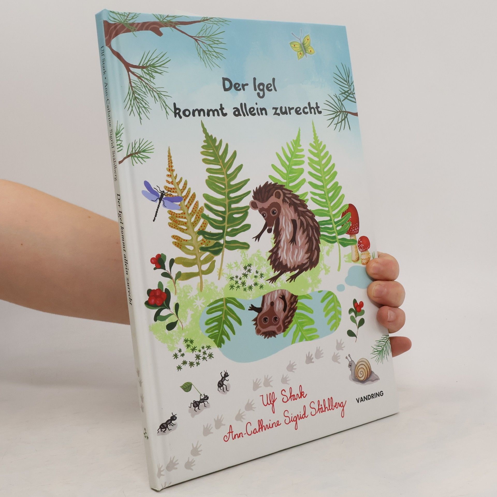 Autorenkollektiv Der Igel kommt allein zurecht