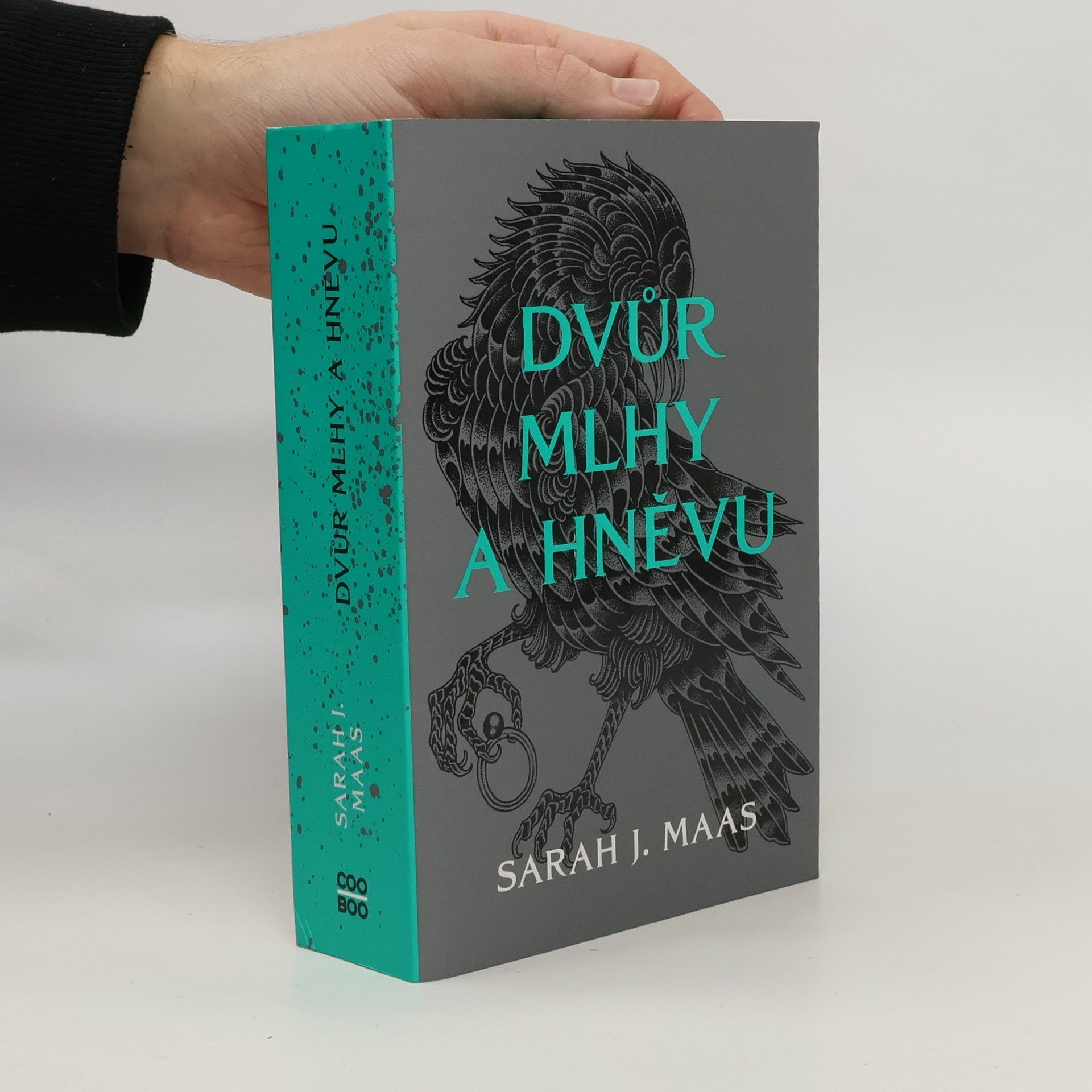 Sarah J. Maasová Dvůr mlhy a hněvu