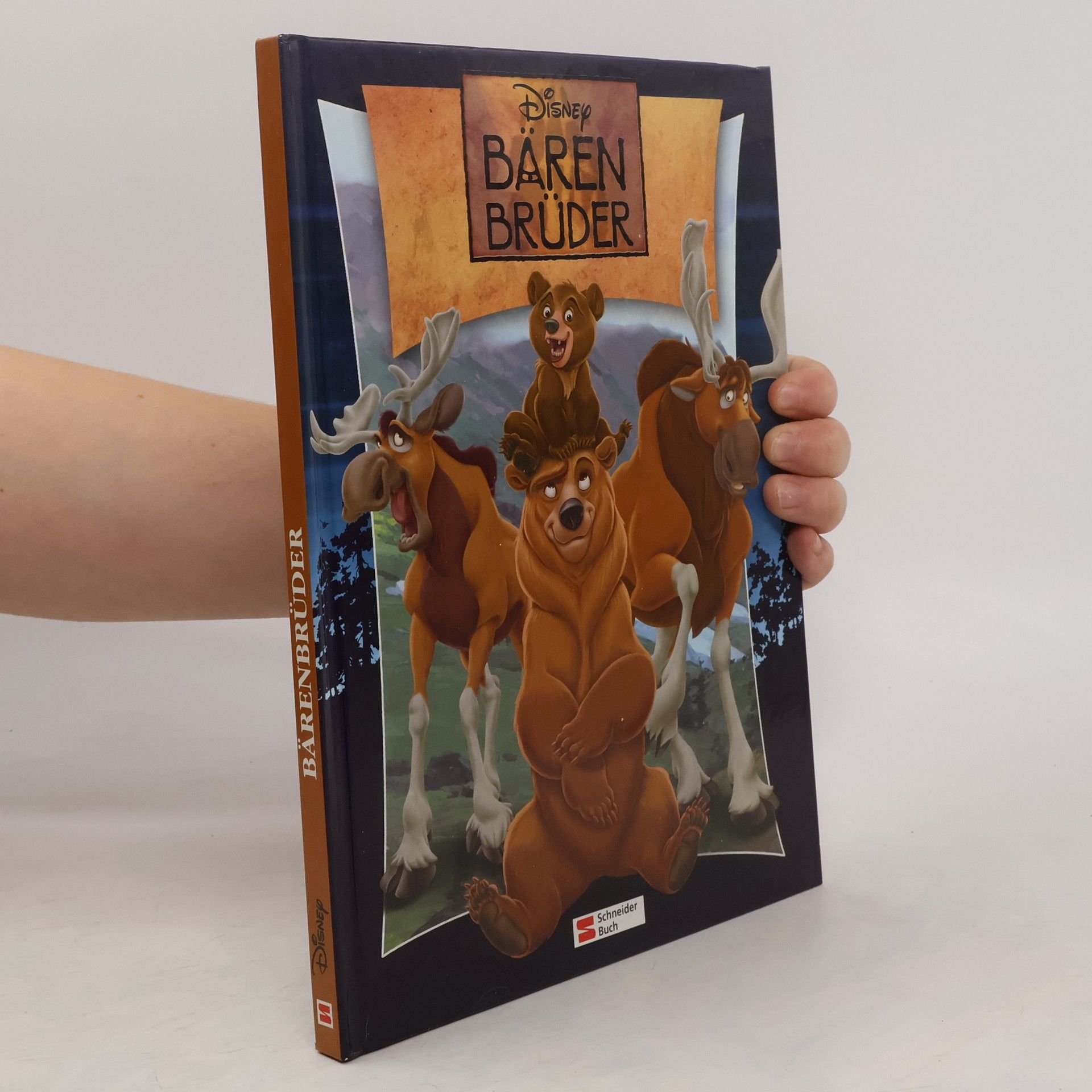 Walt Disney Disney: Bärenbrüder