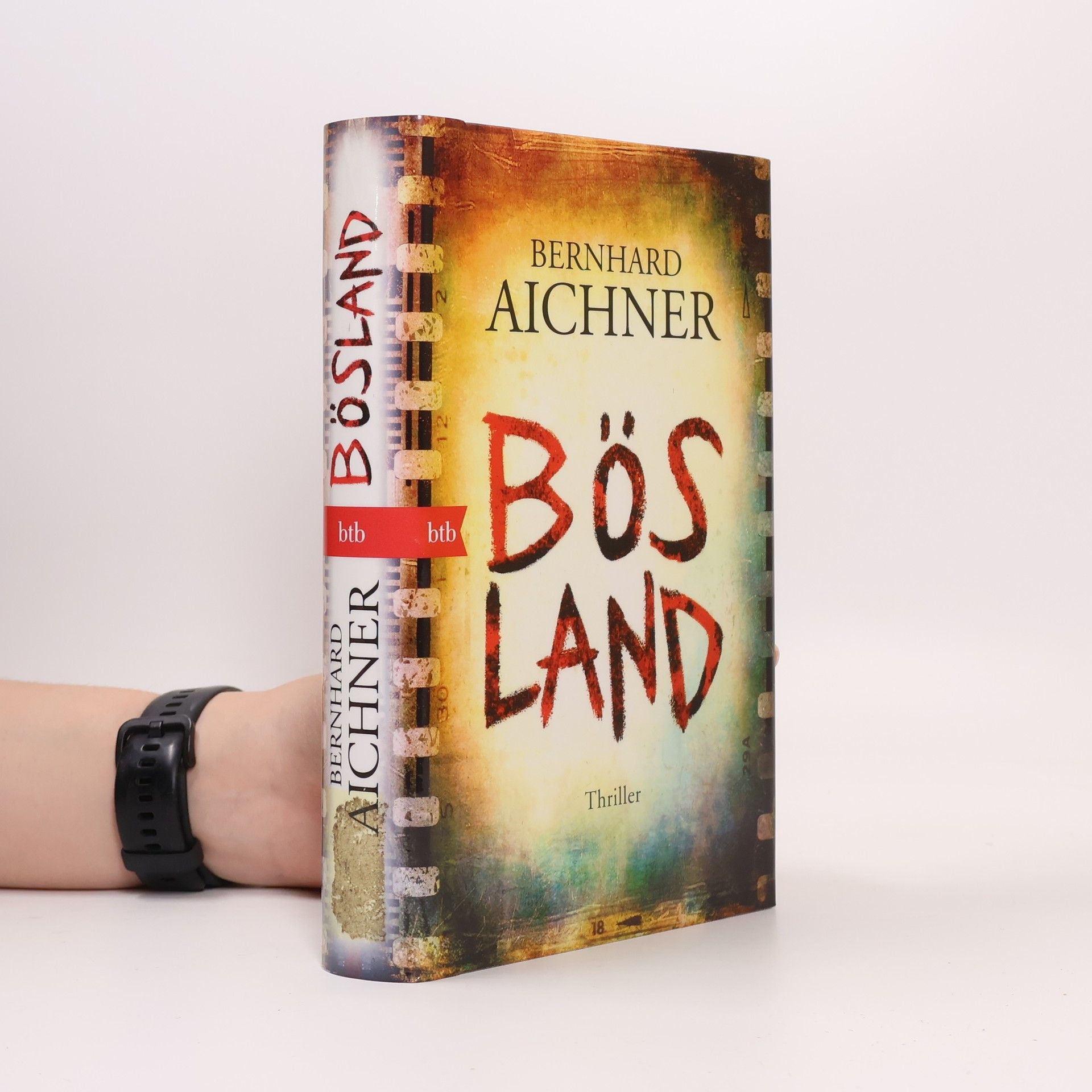 Bernhard Aichner Bösland
