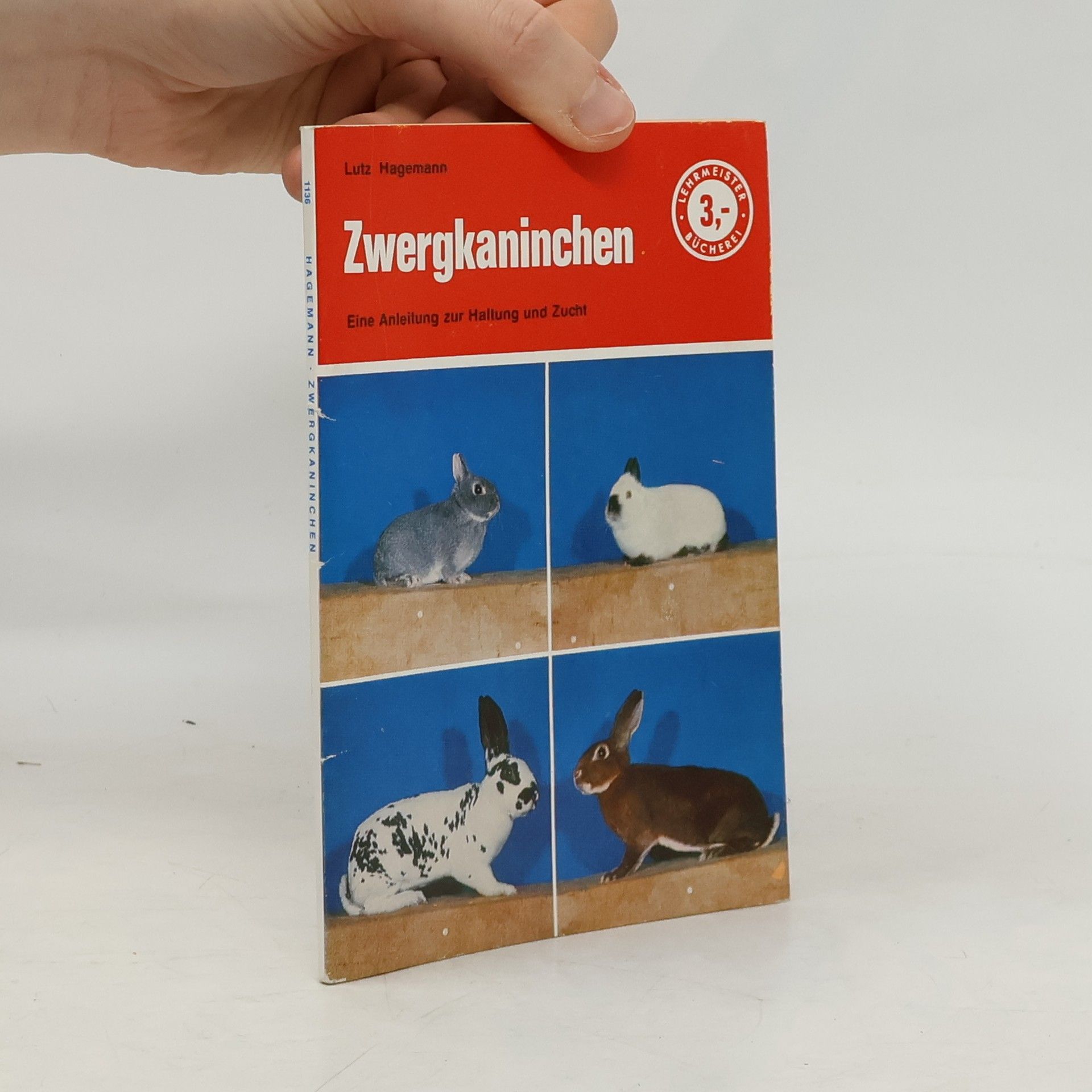 Lutz Hagemann Zwerg- und Rexkaninchen