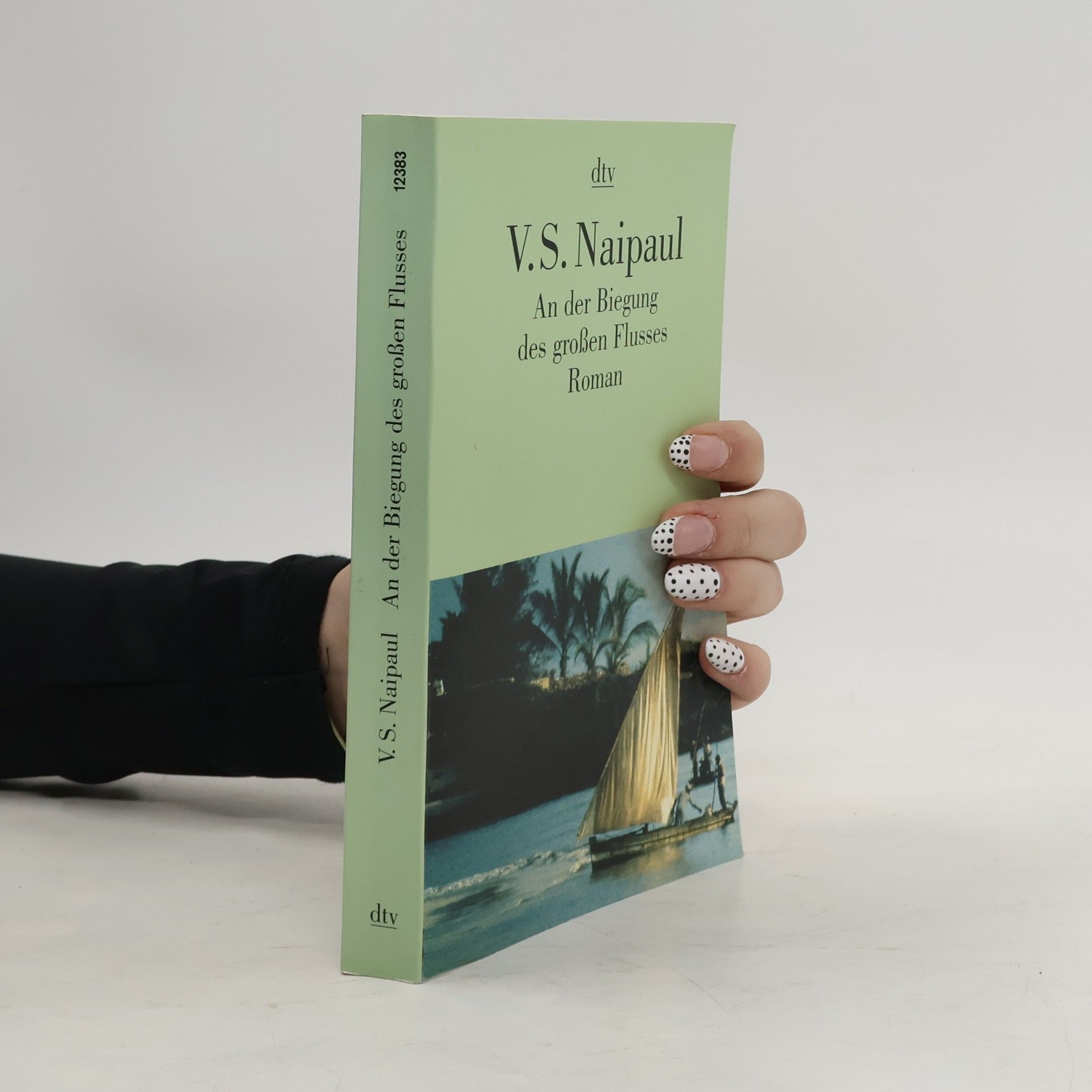 V. S. Naipaul An der Biegung des großen Flusses