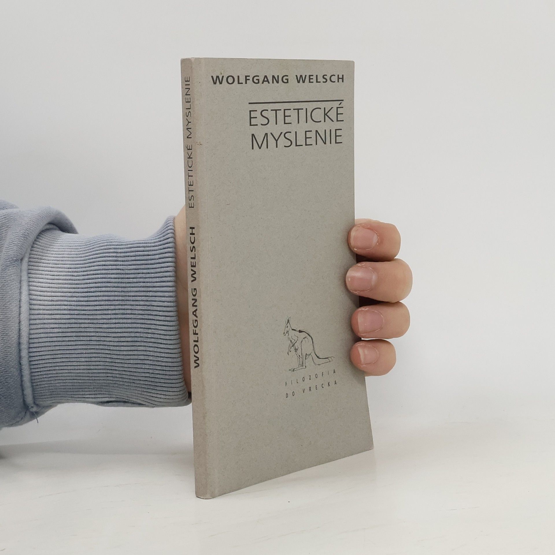 Wolfgang Welsch Estetické myslenie