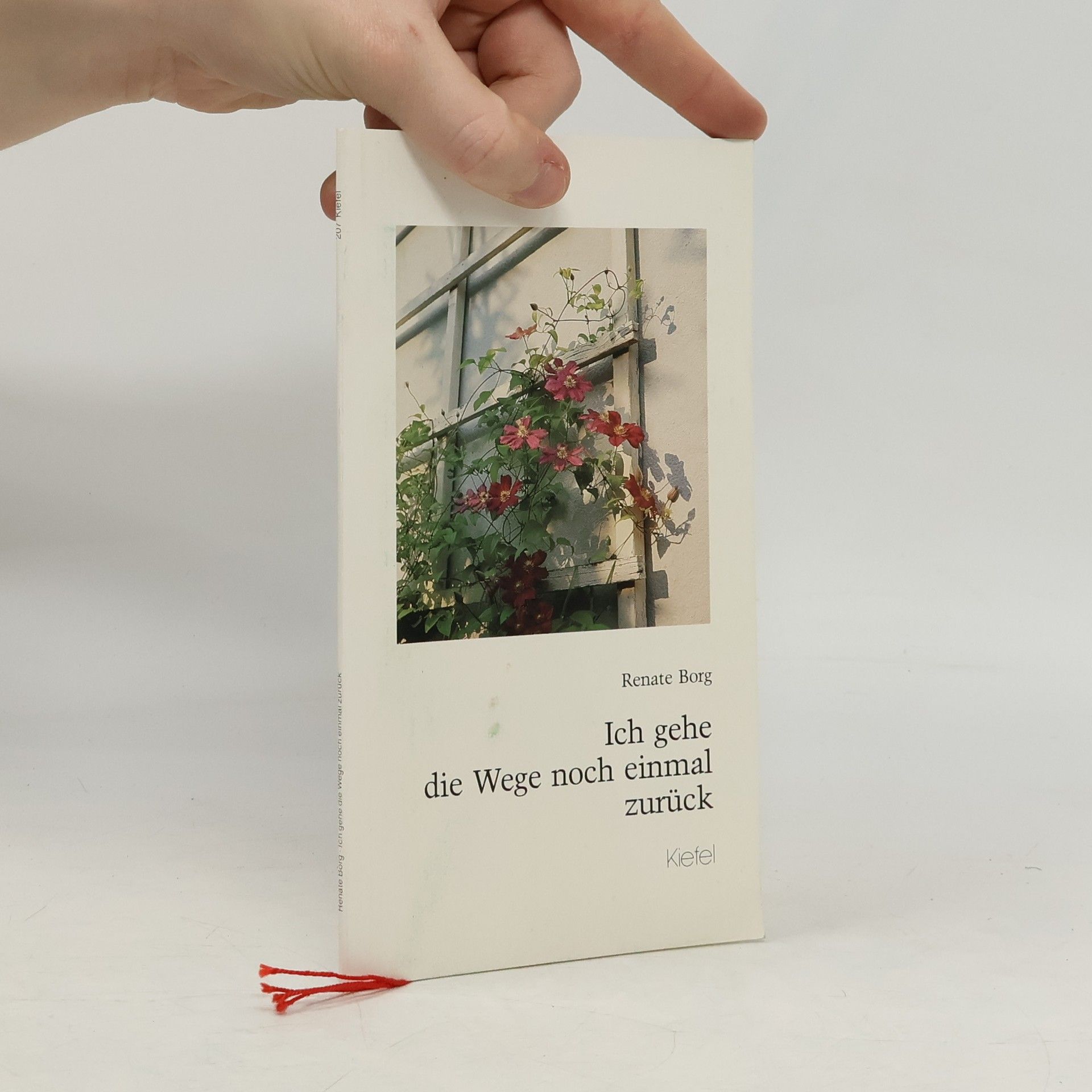 Renate Borg Ich gehe die Wege noch einmal zurück