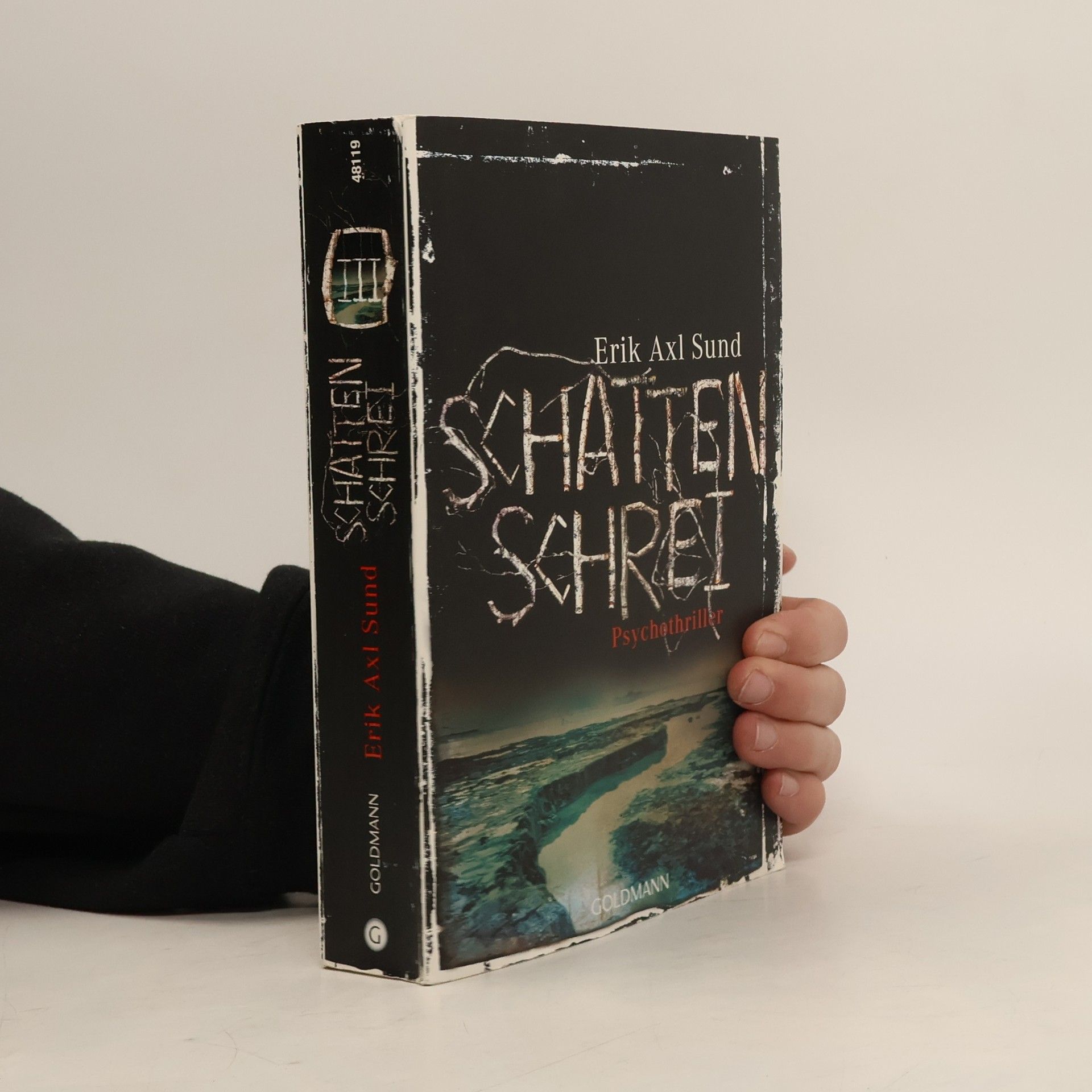 Erik Axl Sund Schattenschrei