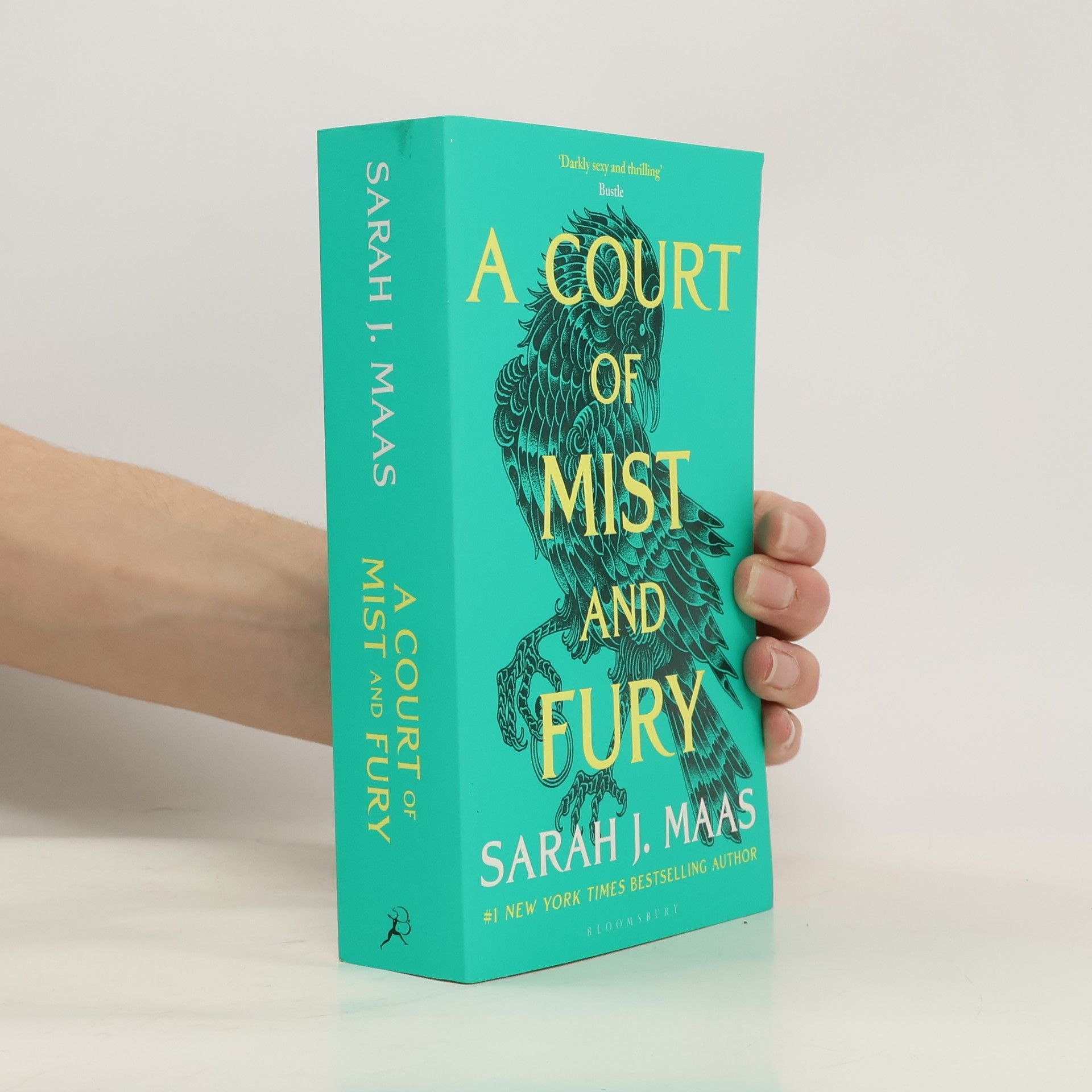 Sarah J. Maasová A Court of Mist and Fury