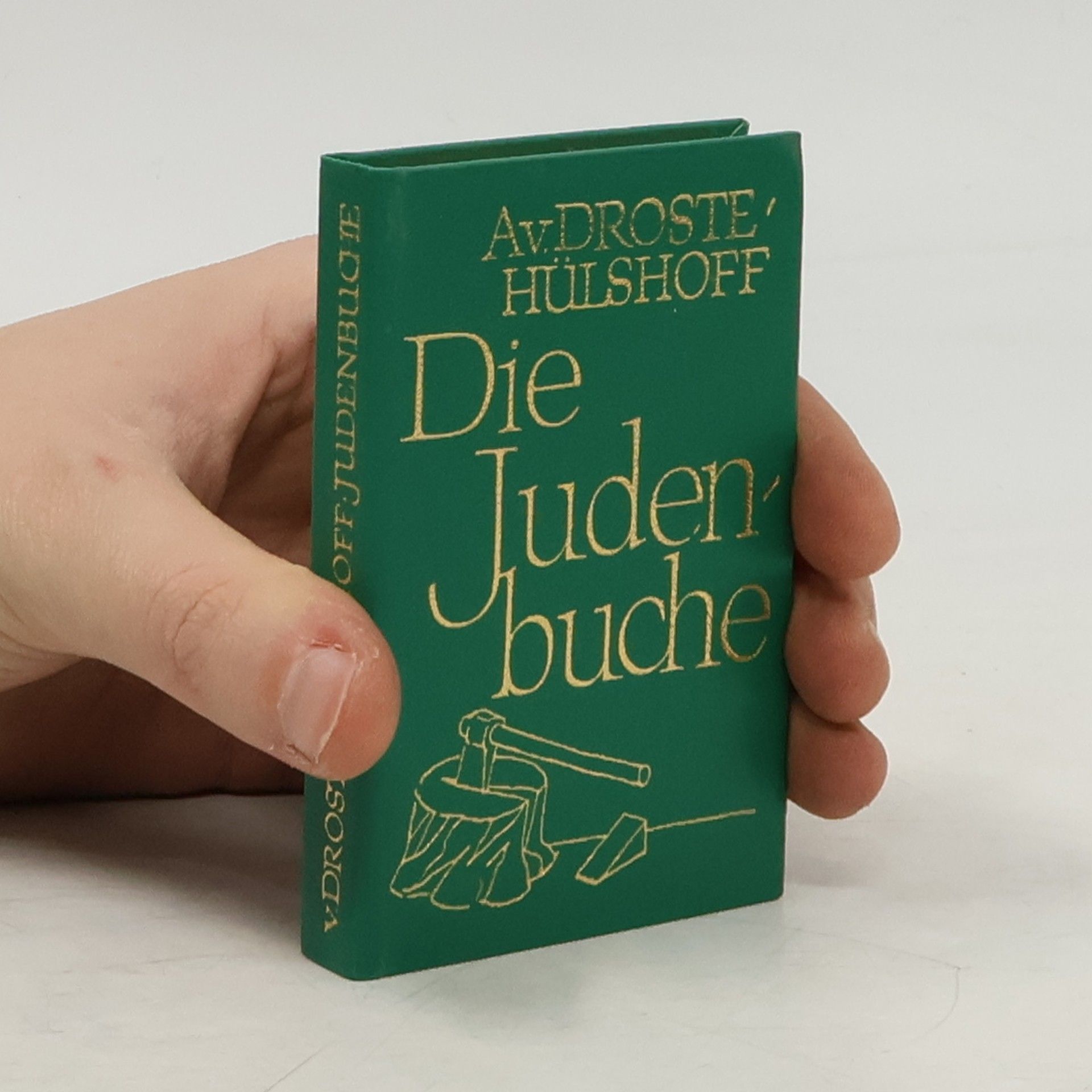 Anette von Droste Hülshoff Die Juden-Buche