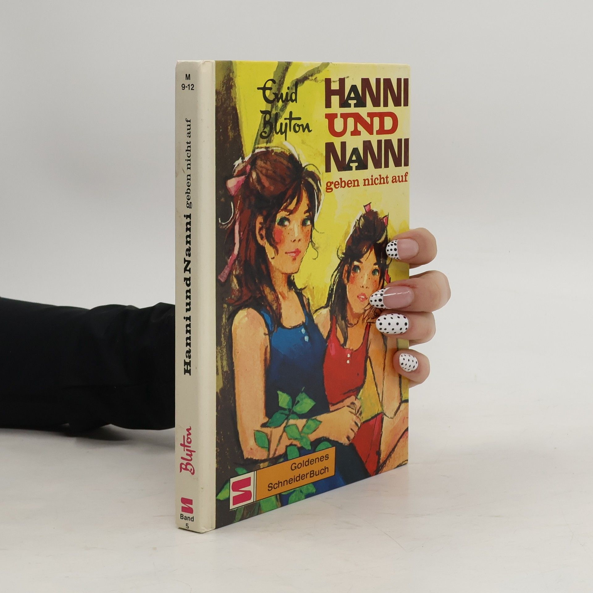 Enid Blyton Hanni und Nanni. Geben nicht auf