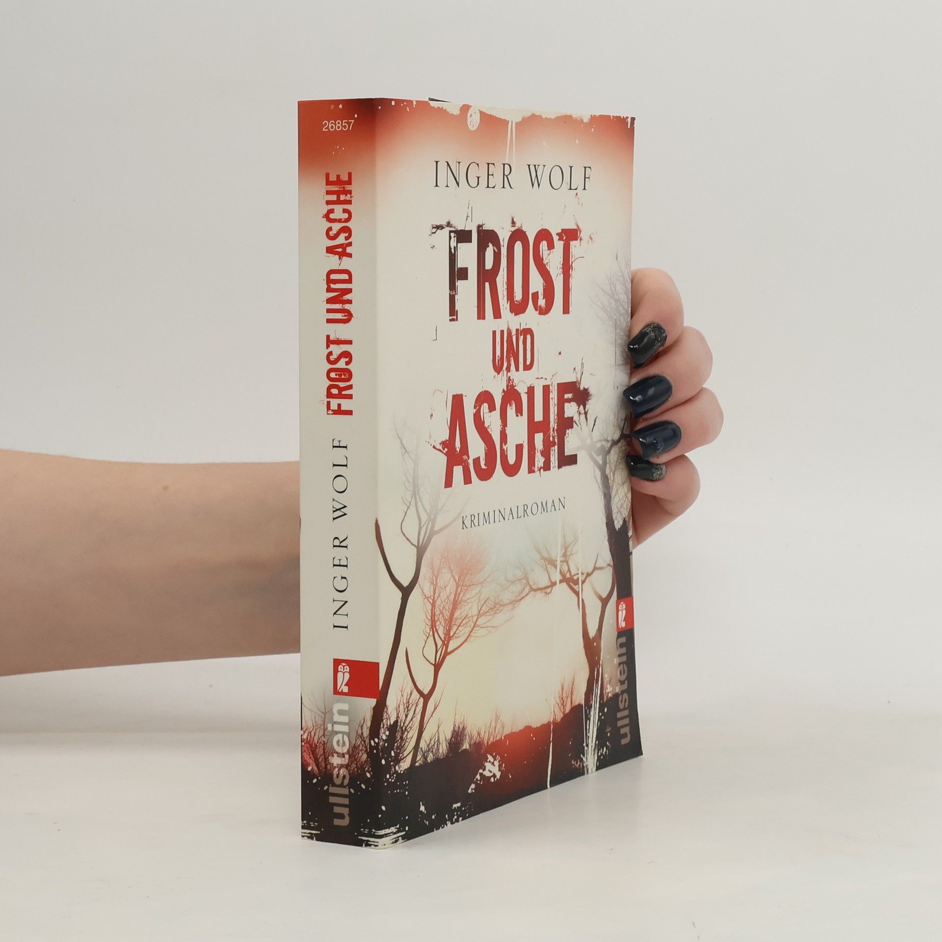 Inger Wolf Frost und Asche