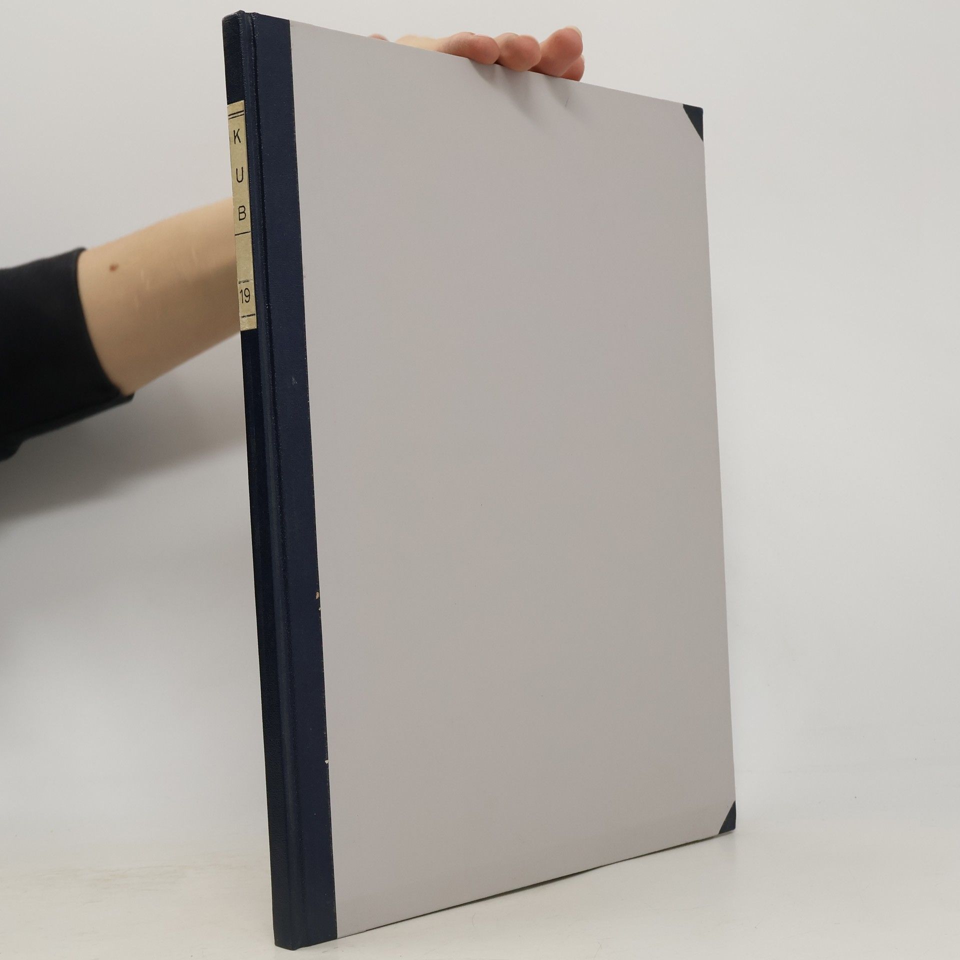kolektiv Keilschrifturkunden aus Boghazköi XIX