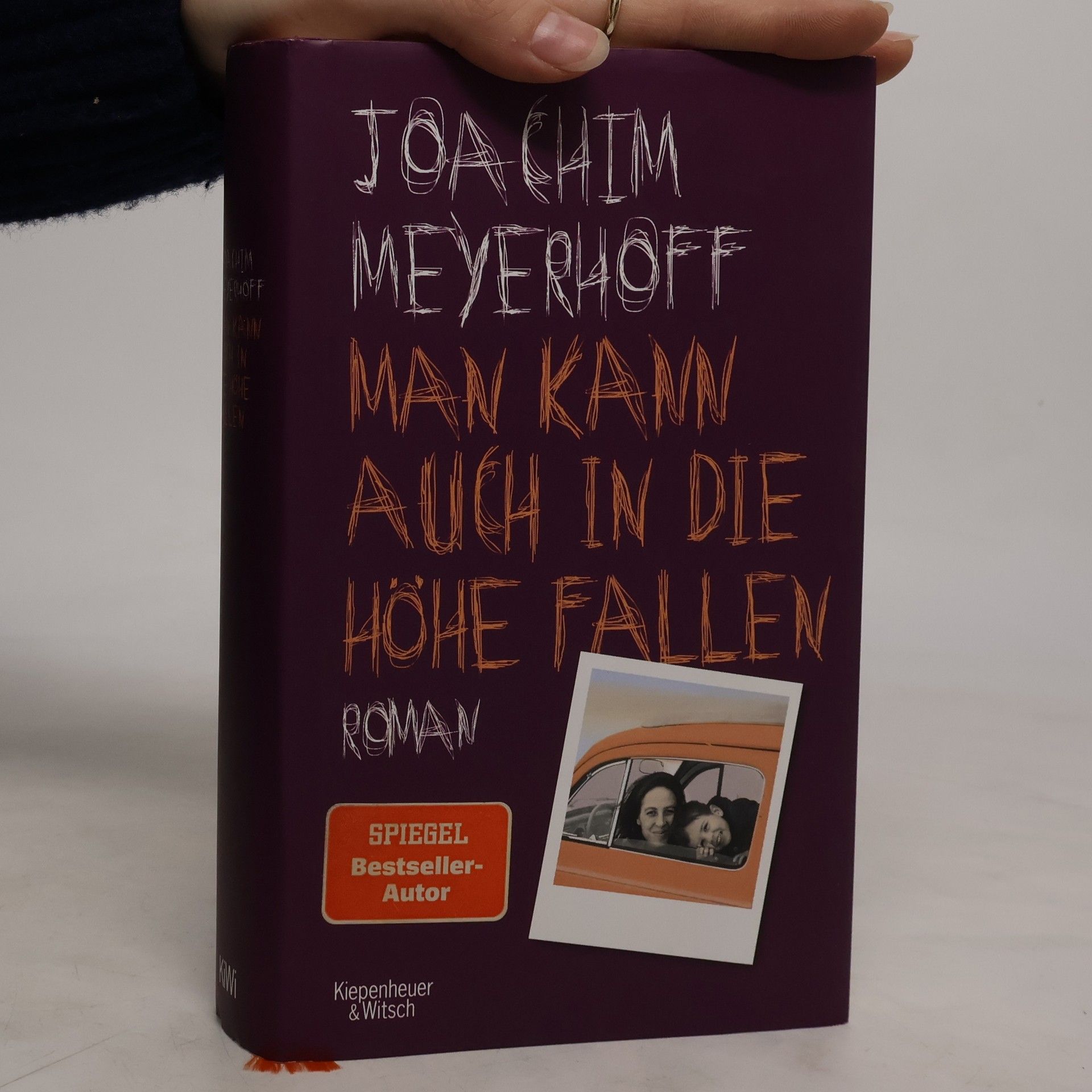 Joachim Meyerhoff Man kann auch in die Höhe fallen