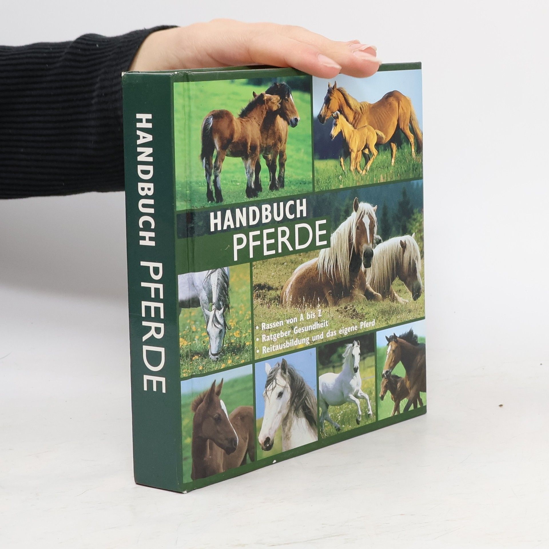 Collectif d'auteurs Handbuch Pferde