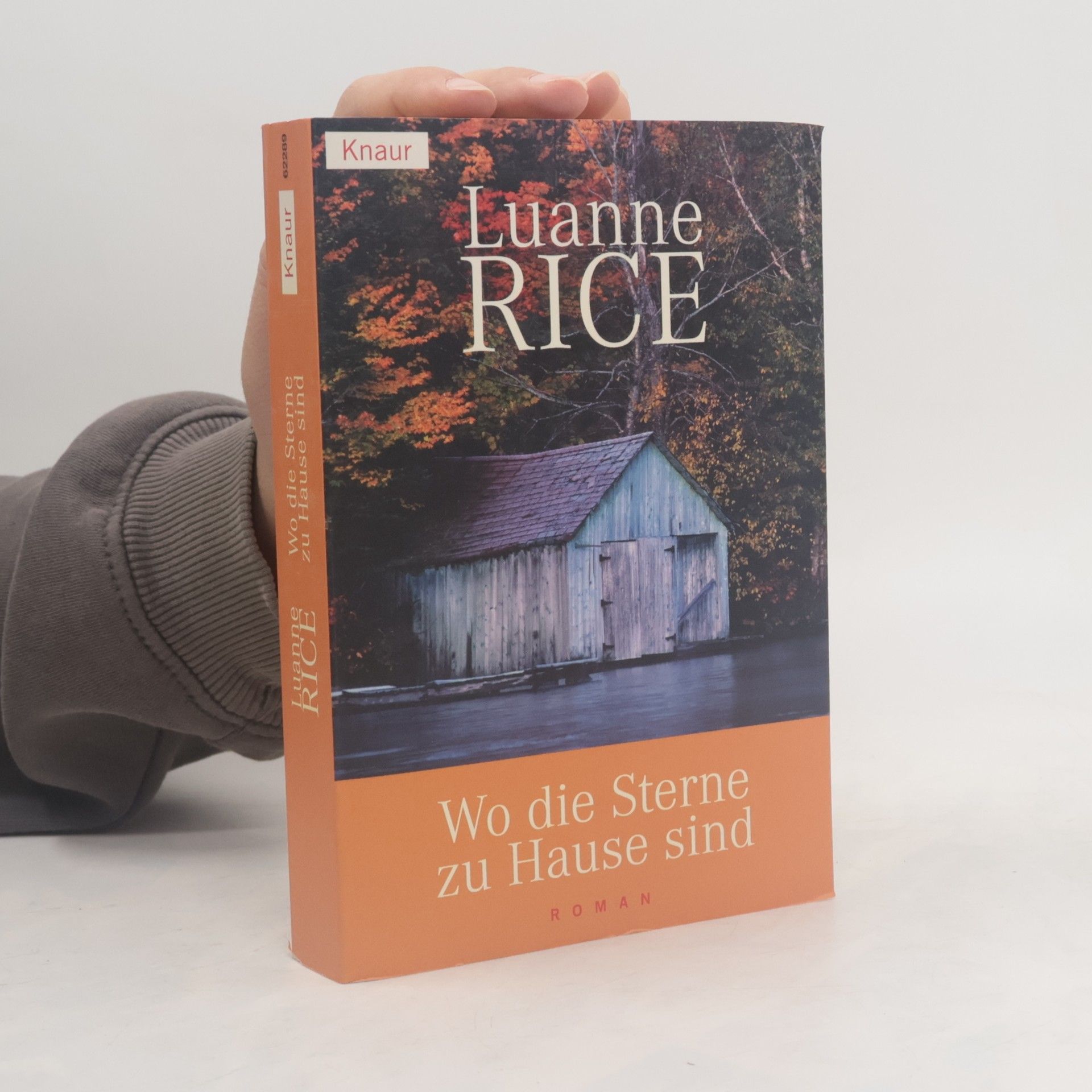 Luanne Rice Wo die Sterne zu Hause sind
