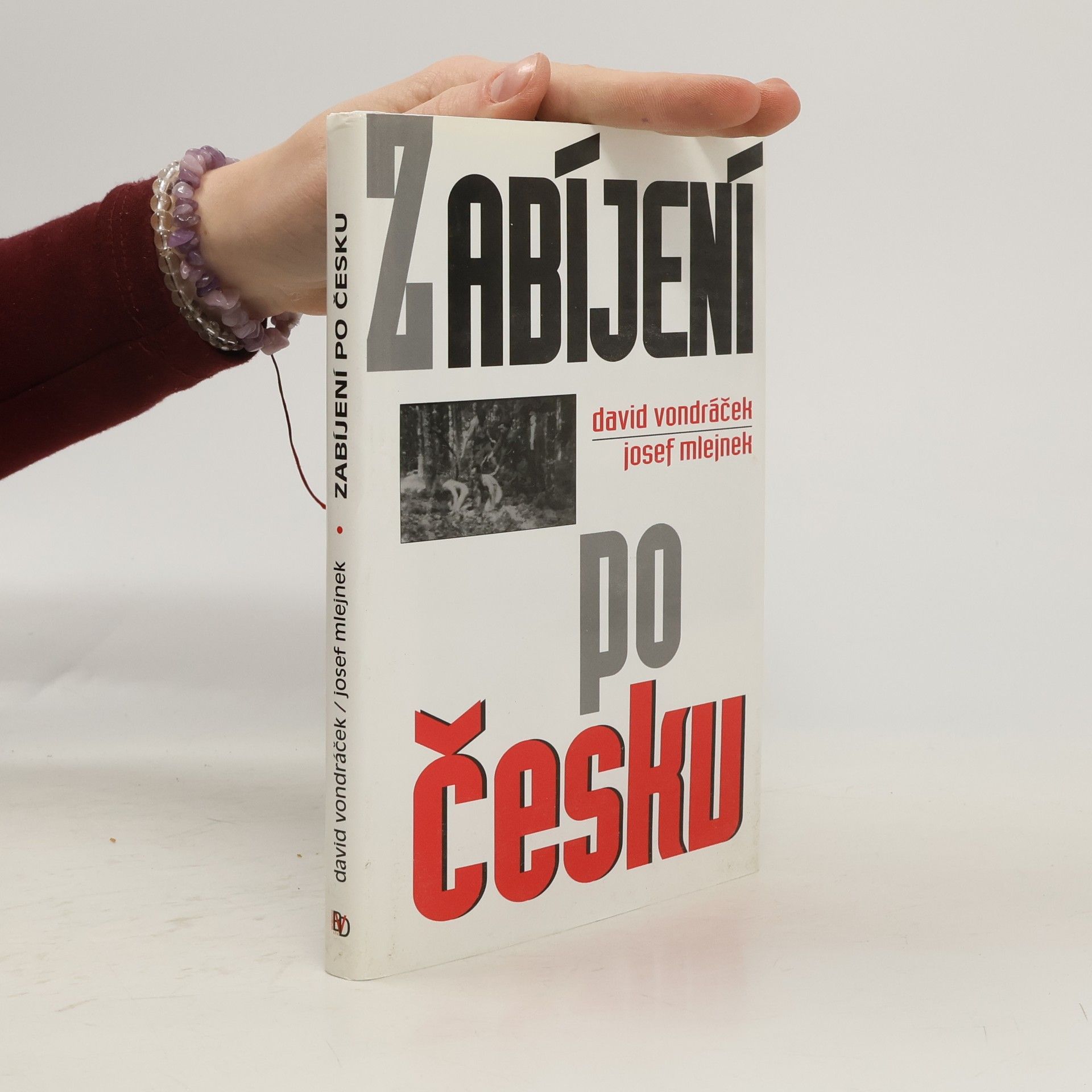 David Vondráček Zabíjení po česku