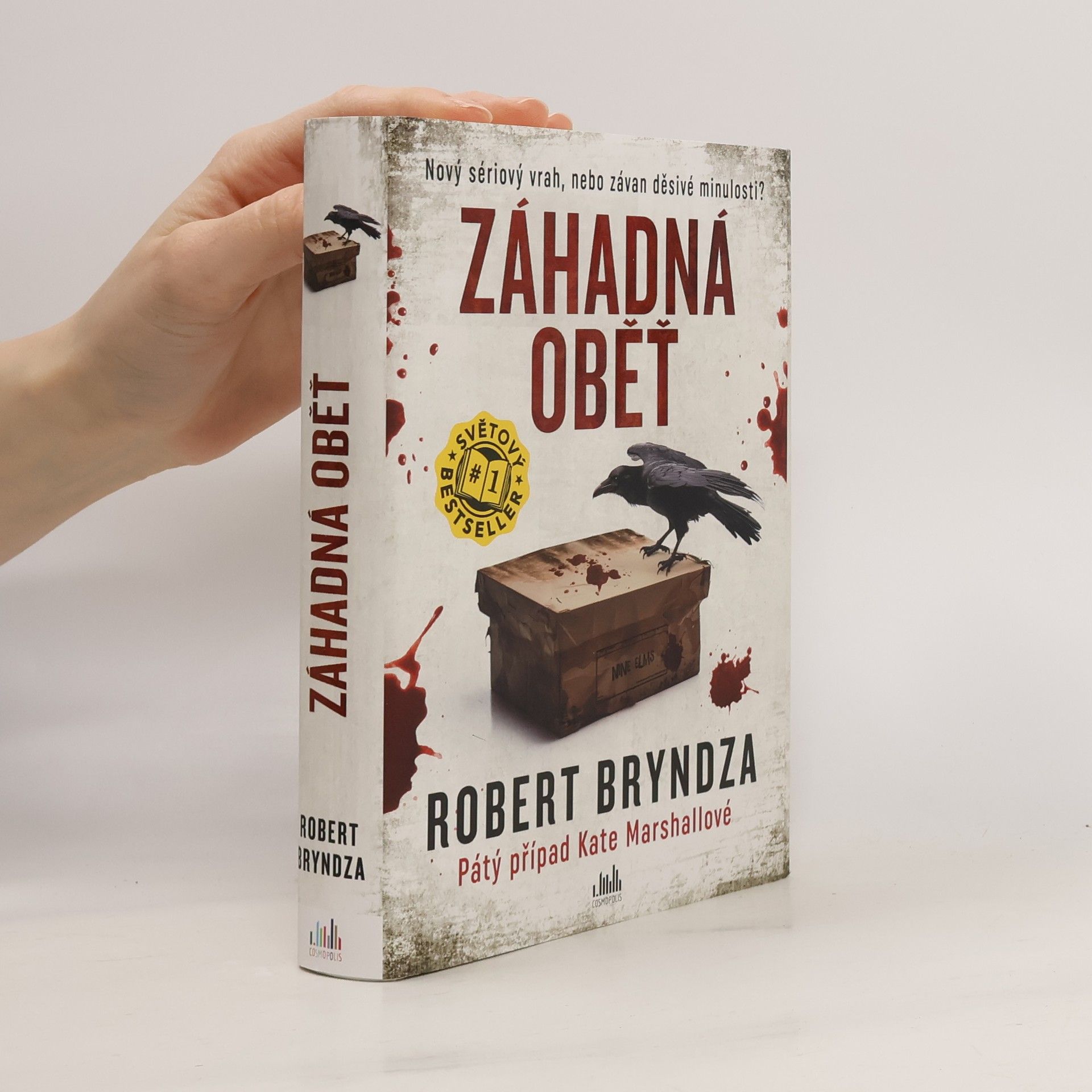 Robert Bryndza Záhadná oběť