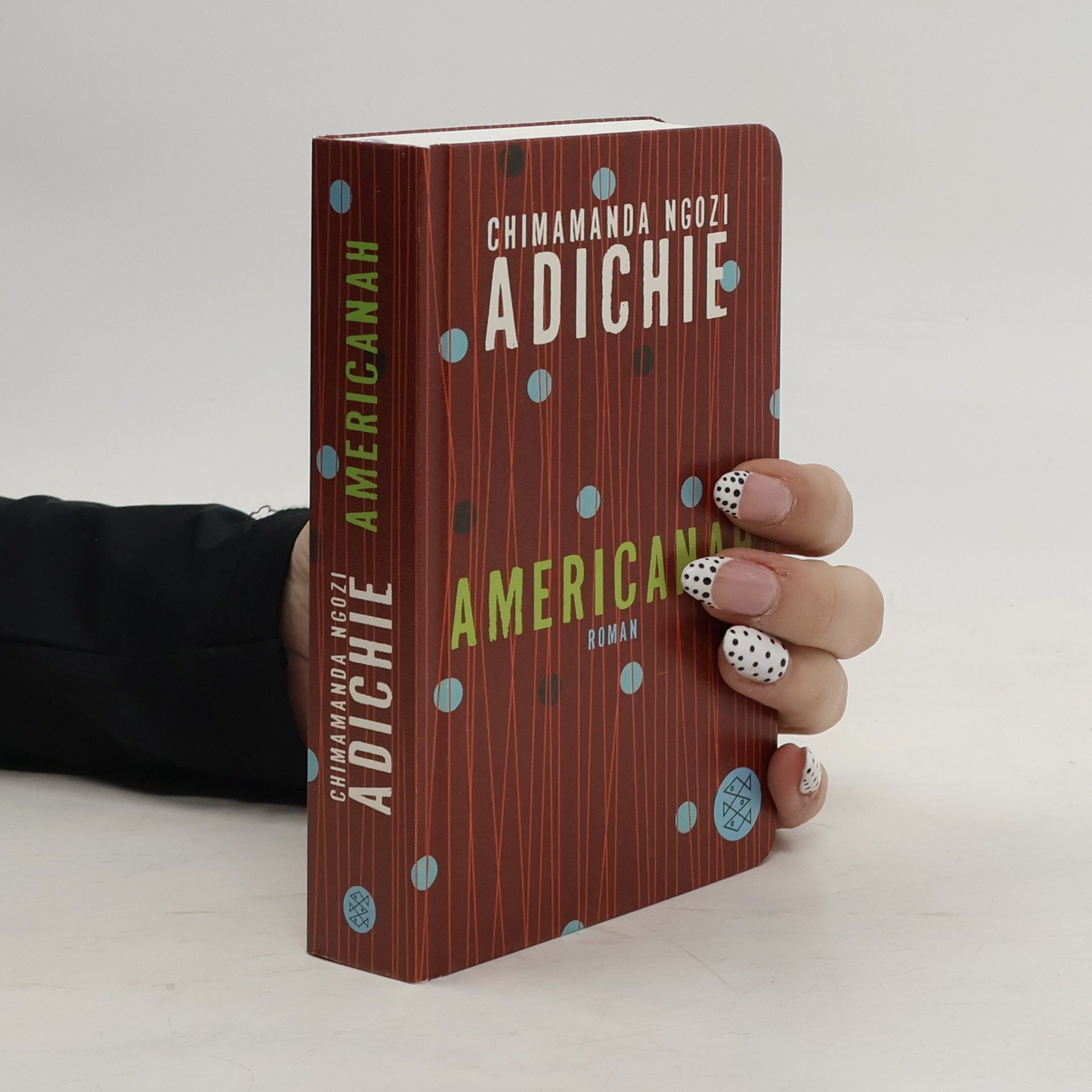 Chimamanda Ngozi Adichie Americanah