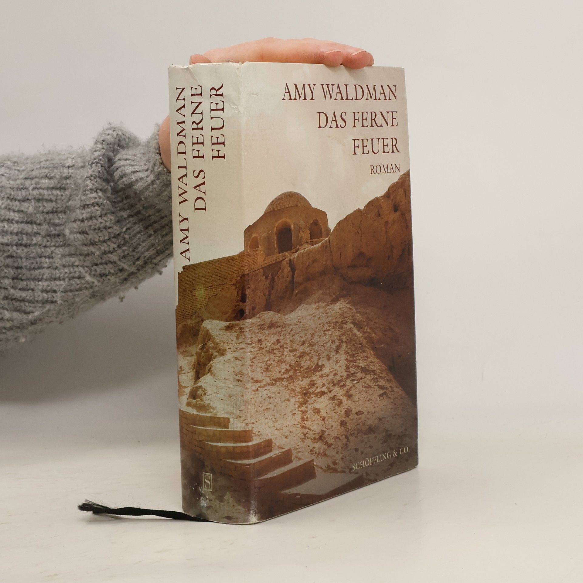 Amy Waldman Das ferne Feuer